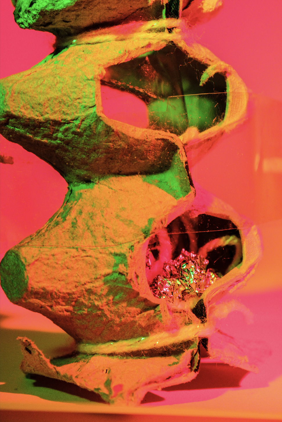 PHOTOGRAPHY & SCULPTURES