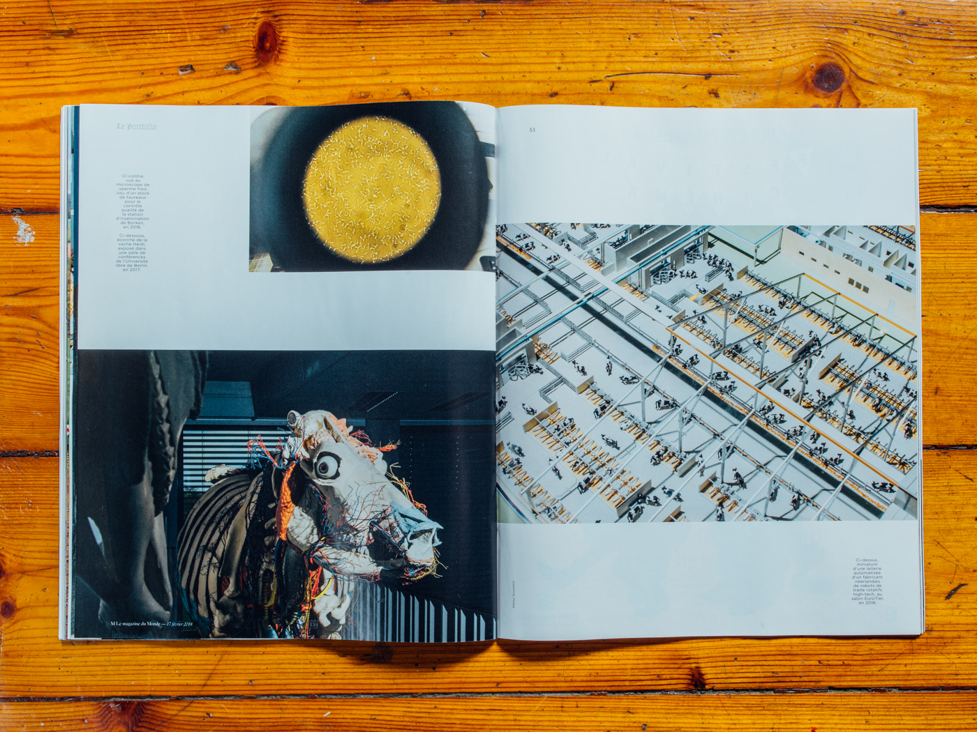 Le Monde M Magazine / Portfolio: Hornless Heritage / Februar 2018