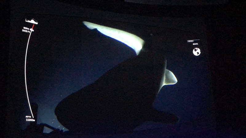 "Journey to the deep" documentary