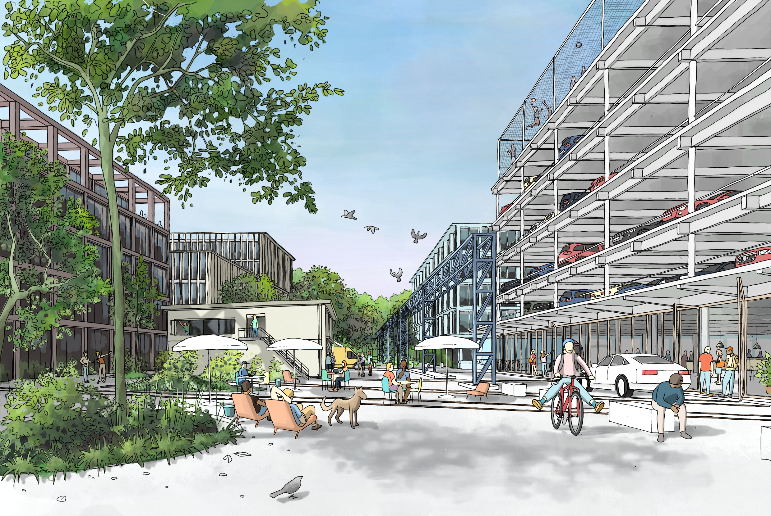 Masterplan, Basel CH