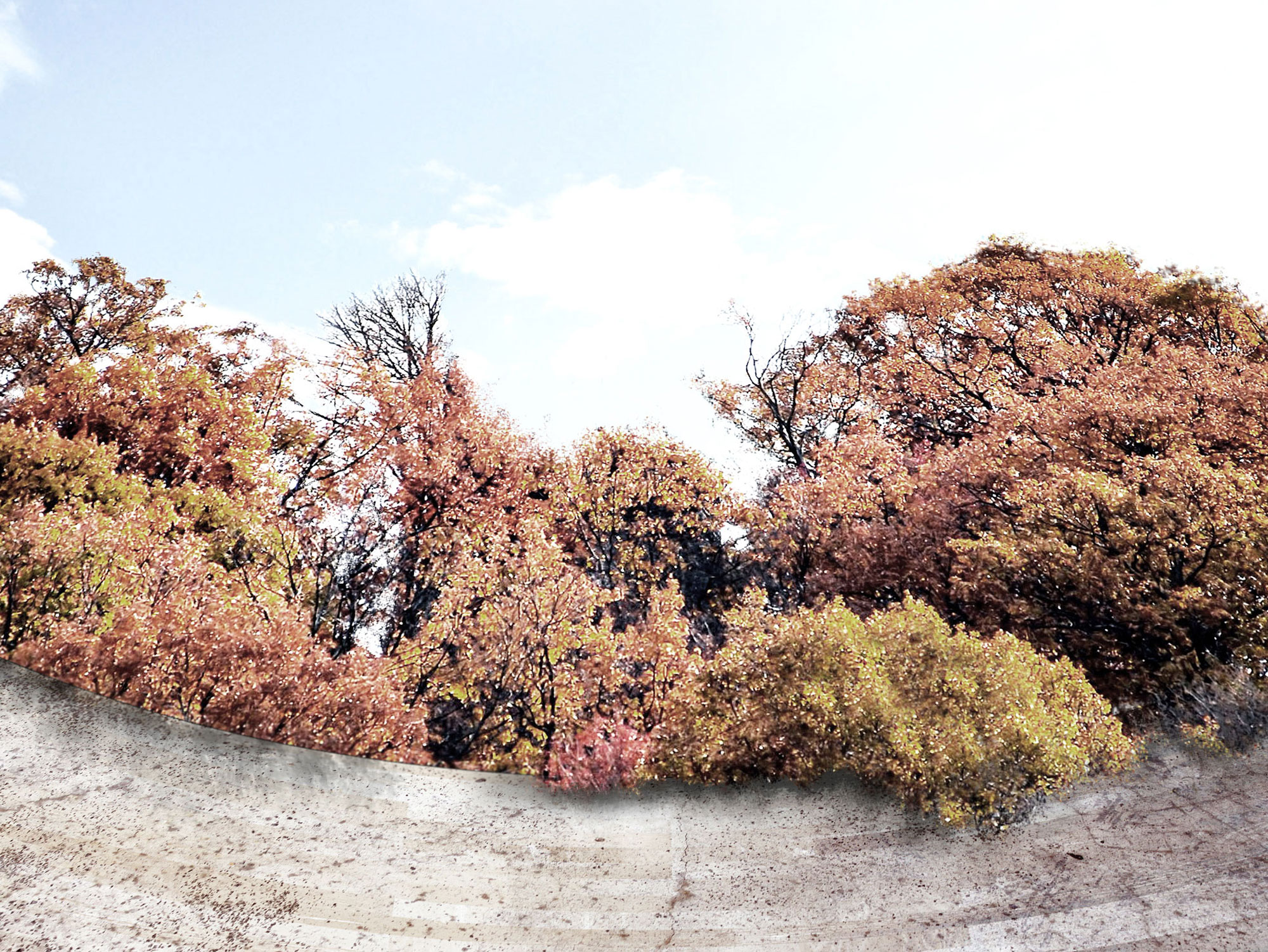 The colorful foliage spills over the rough aggregate wall