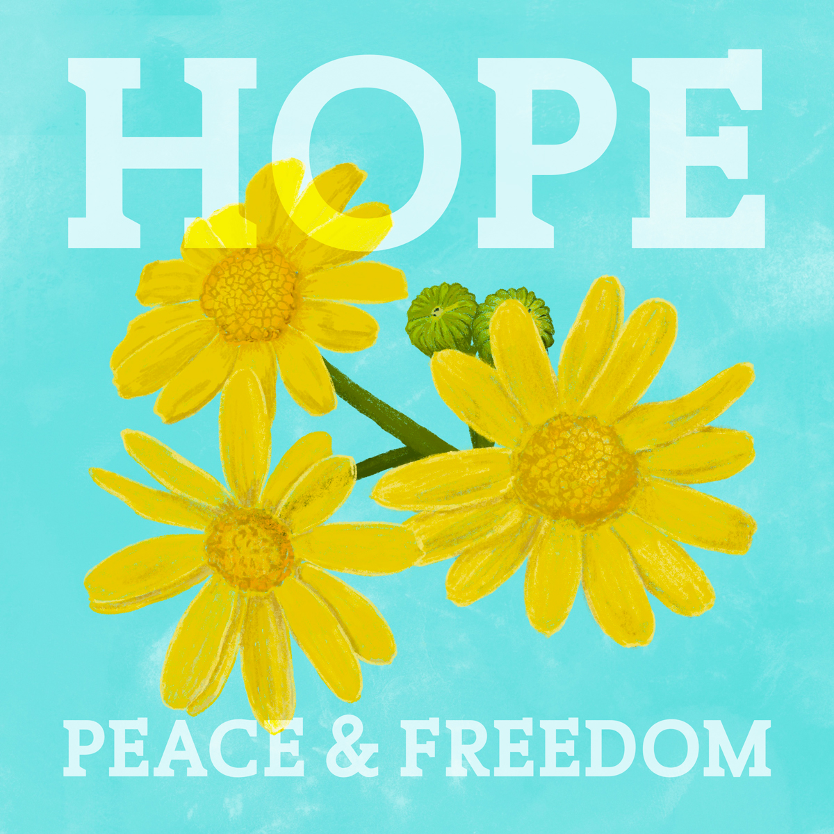 Yellow chrysanthemums on blue background with text on ir