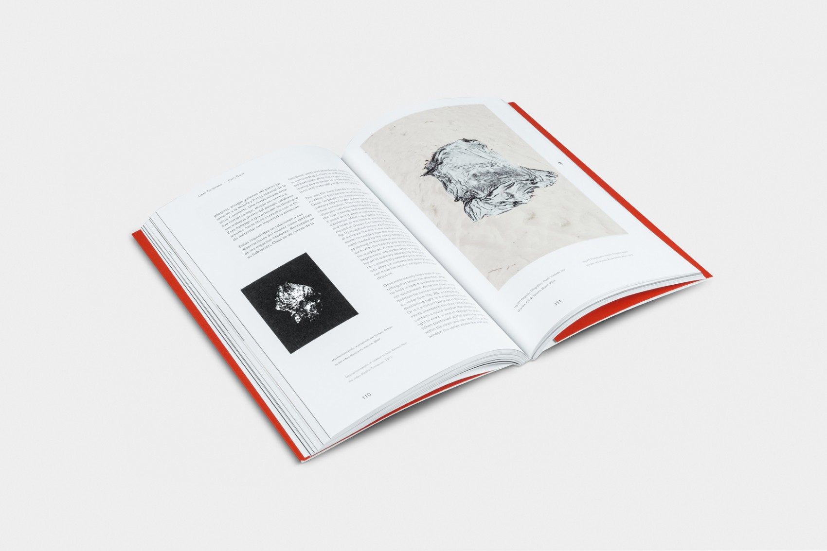 Early Book / Libro Temprano — Benjamín Ossa