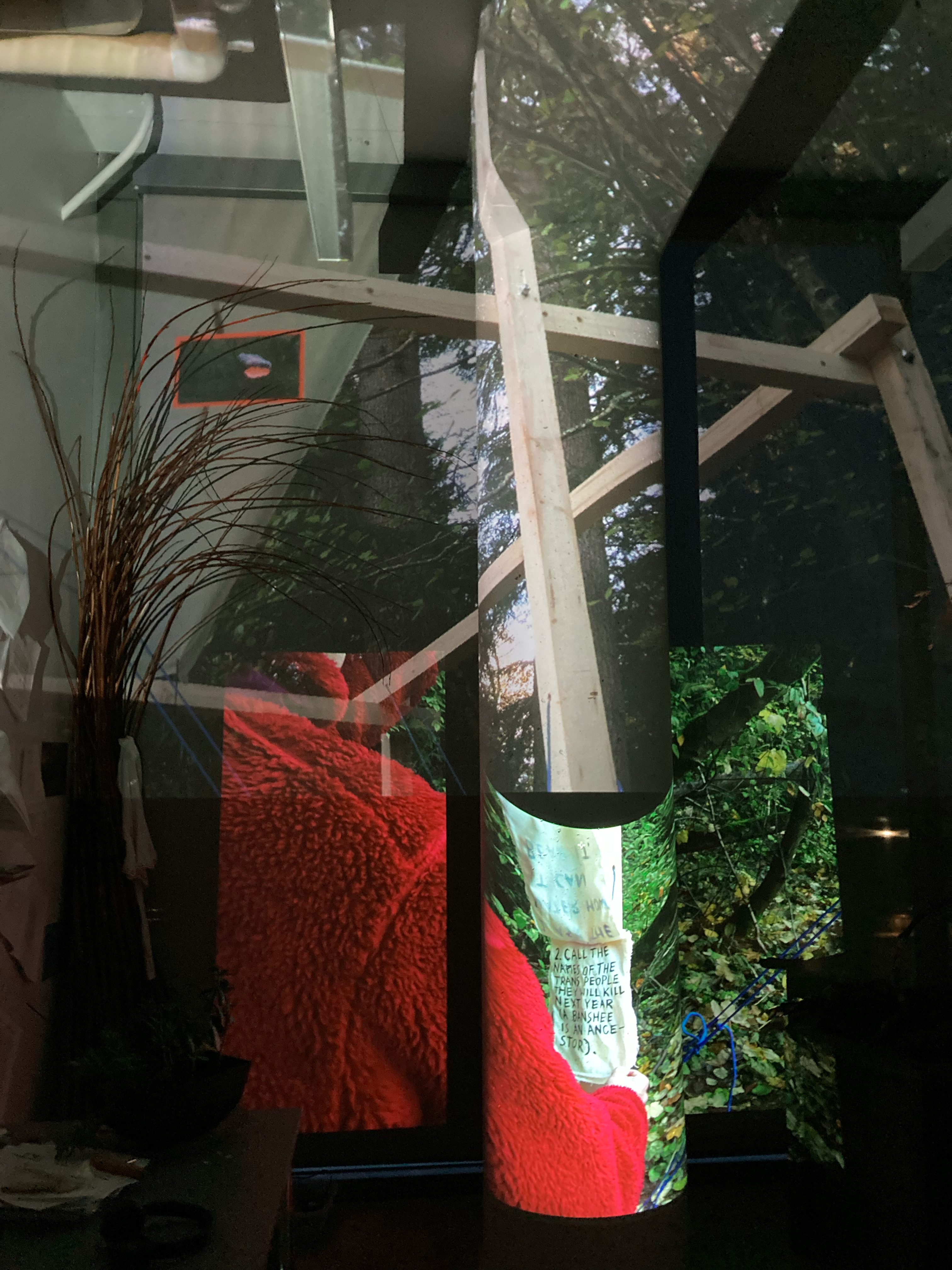 Centre for Near Life Research, mutli-channel video projection, 2023.