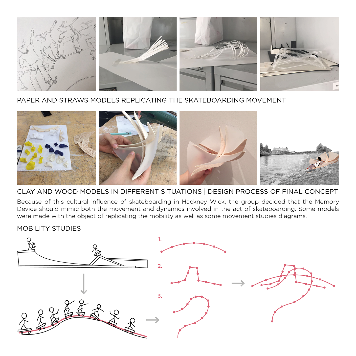 Motion Studies