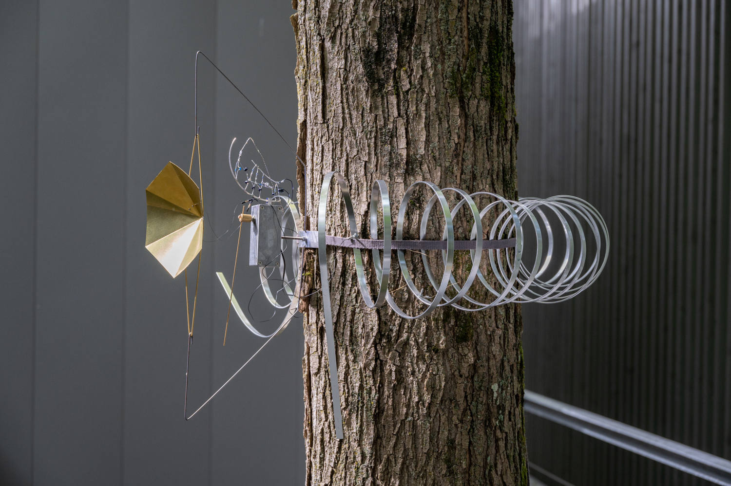 Ioana Vreme Moser, Arboreal Receptors N3, 2022. Photo : Paul Litherland