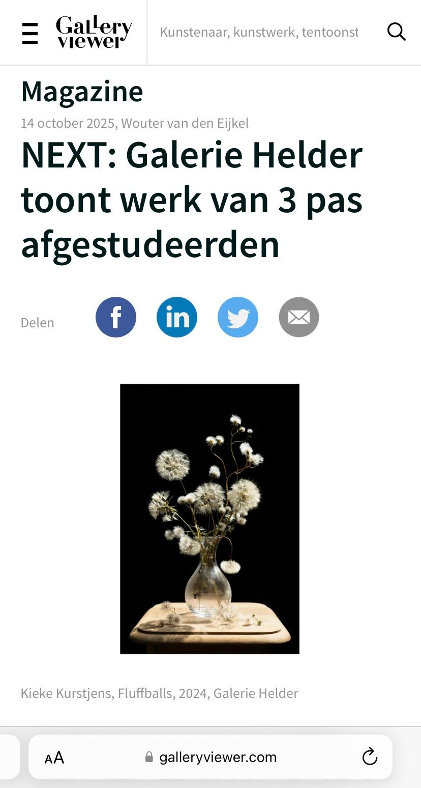 Gallery viewer published an interview with me about the exhibition 'Next' at Galerie Helder
