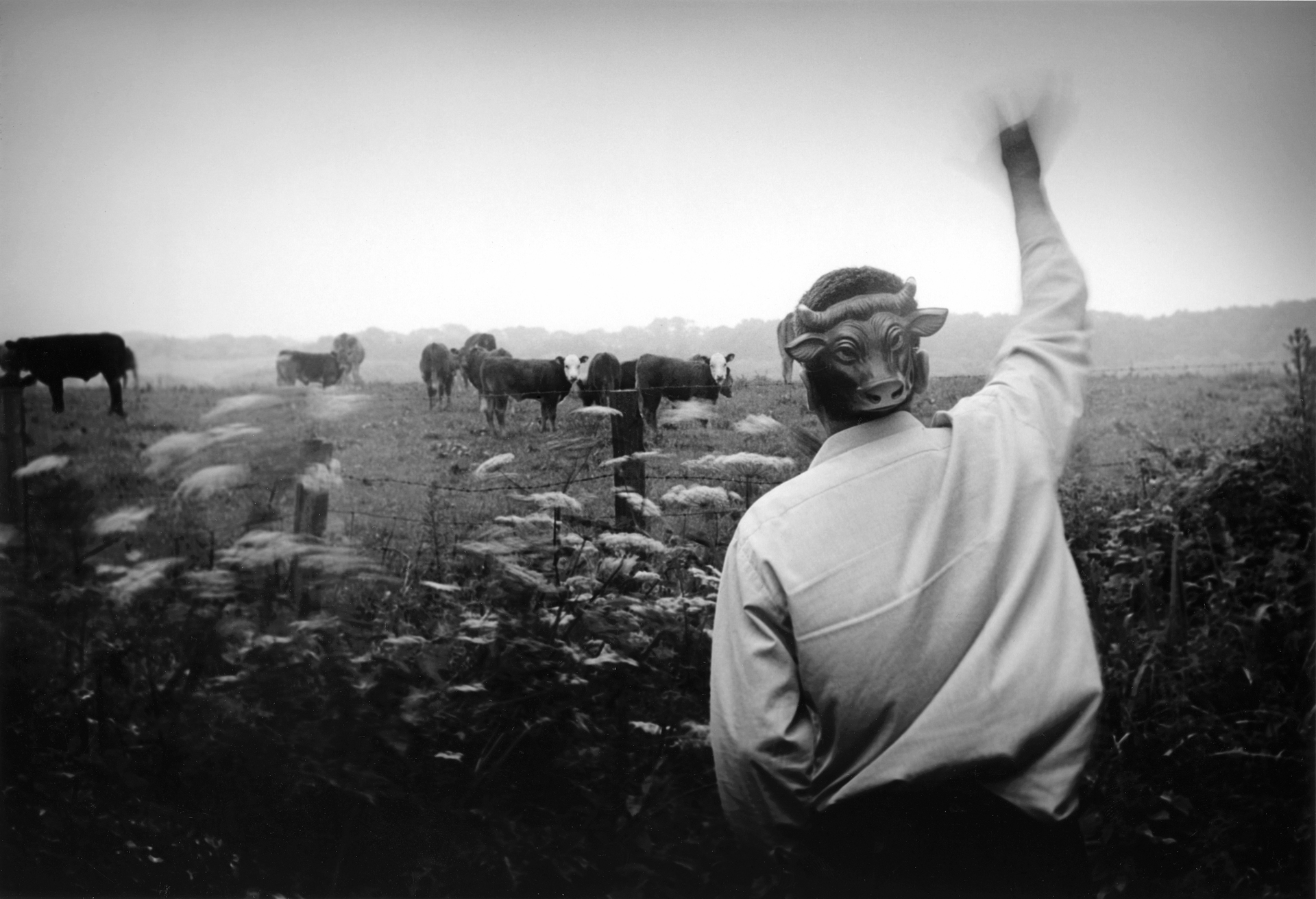 Parlour Pageant, 1993, 51 x 41 cm, Selenium Toned, Silver Gelatine Print