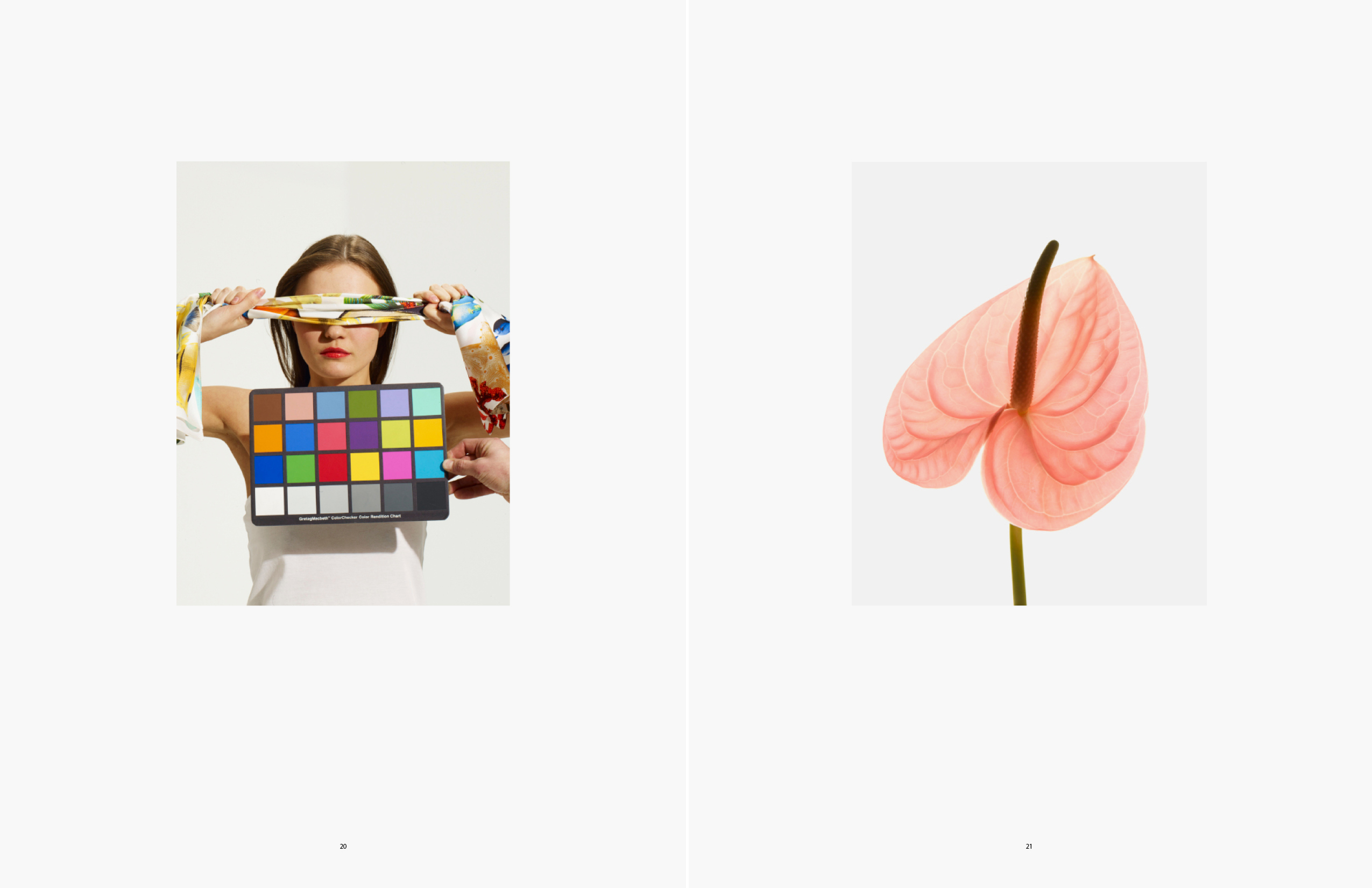 Echo Scarves; Harper's Bazaar