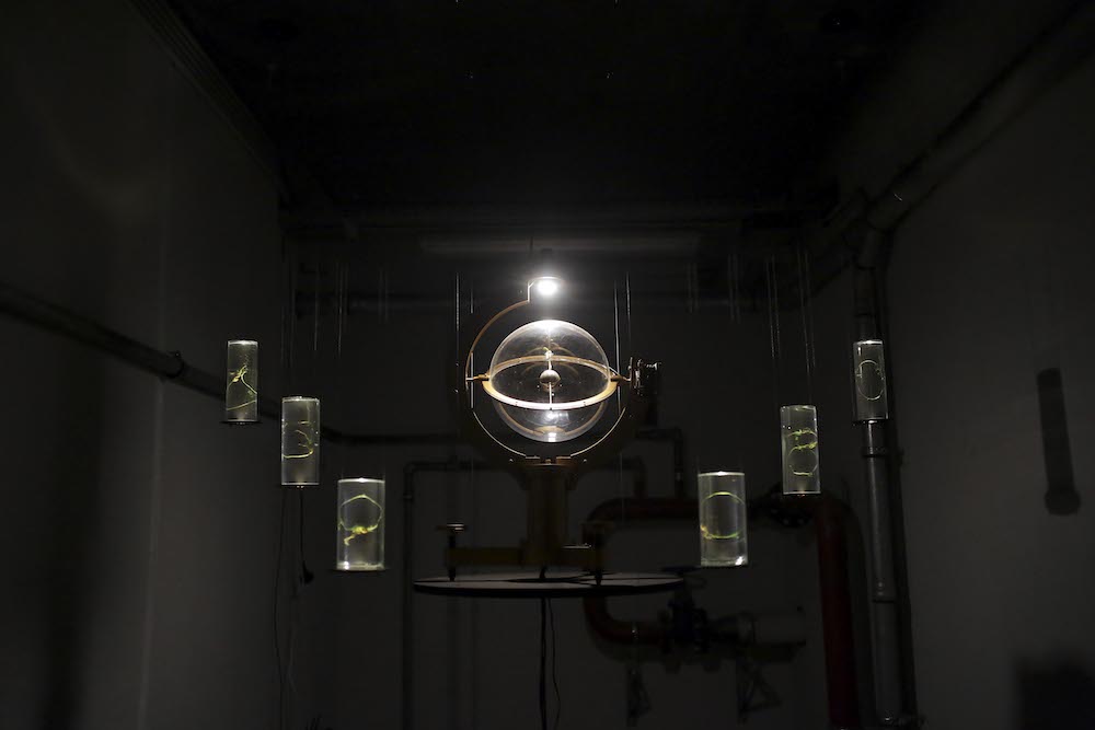 Group Exhibition - Cybernation - Ars Electronica Festival, Linz, 2019