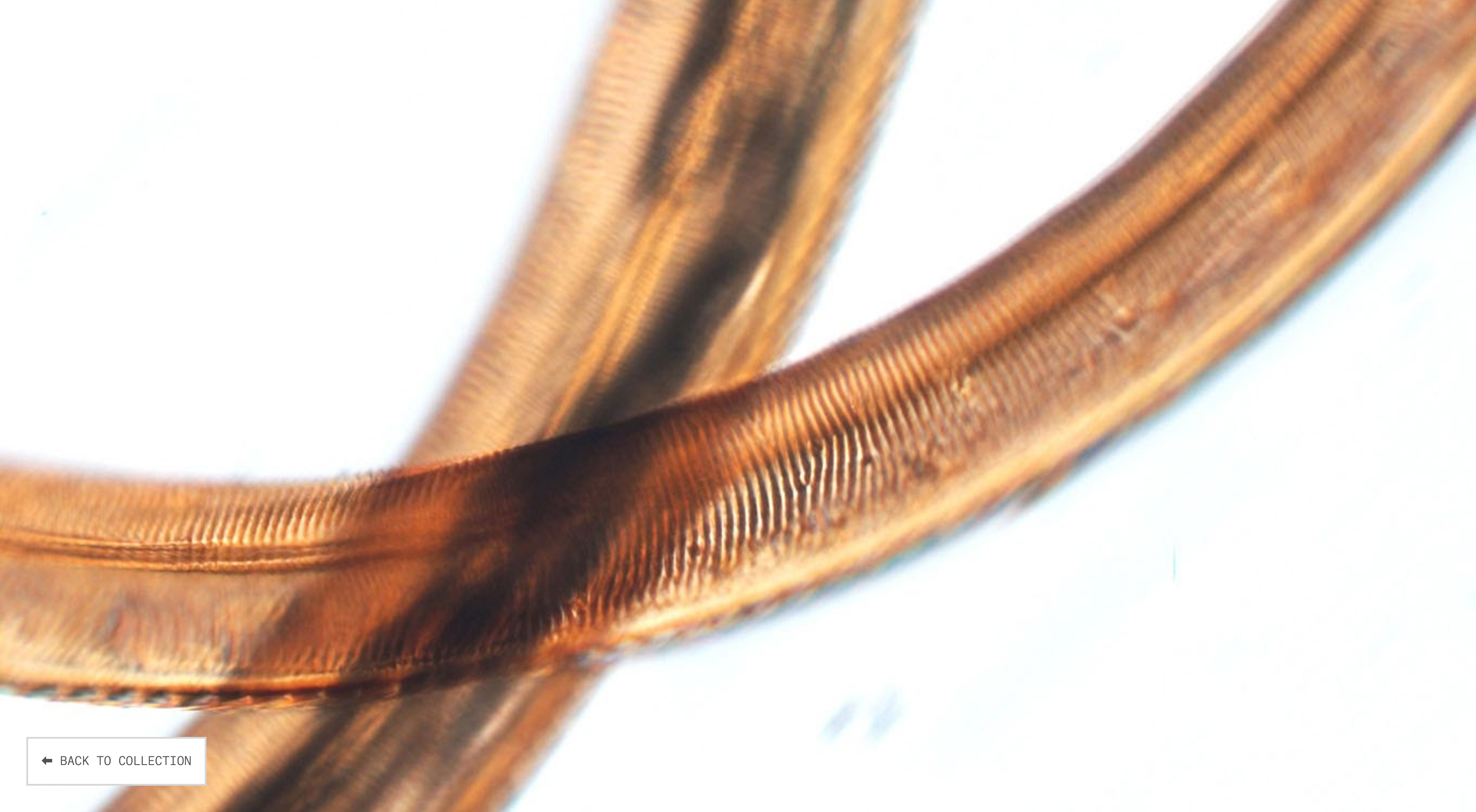 nature-lab-microscope