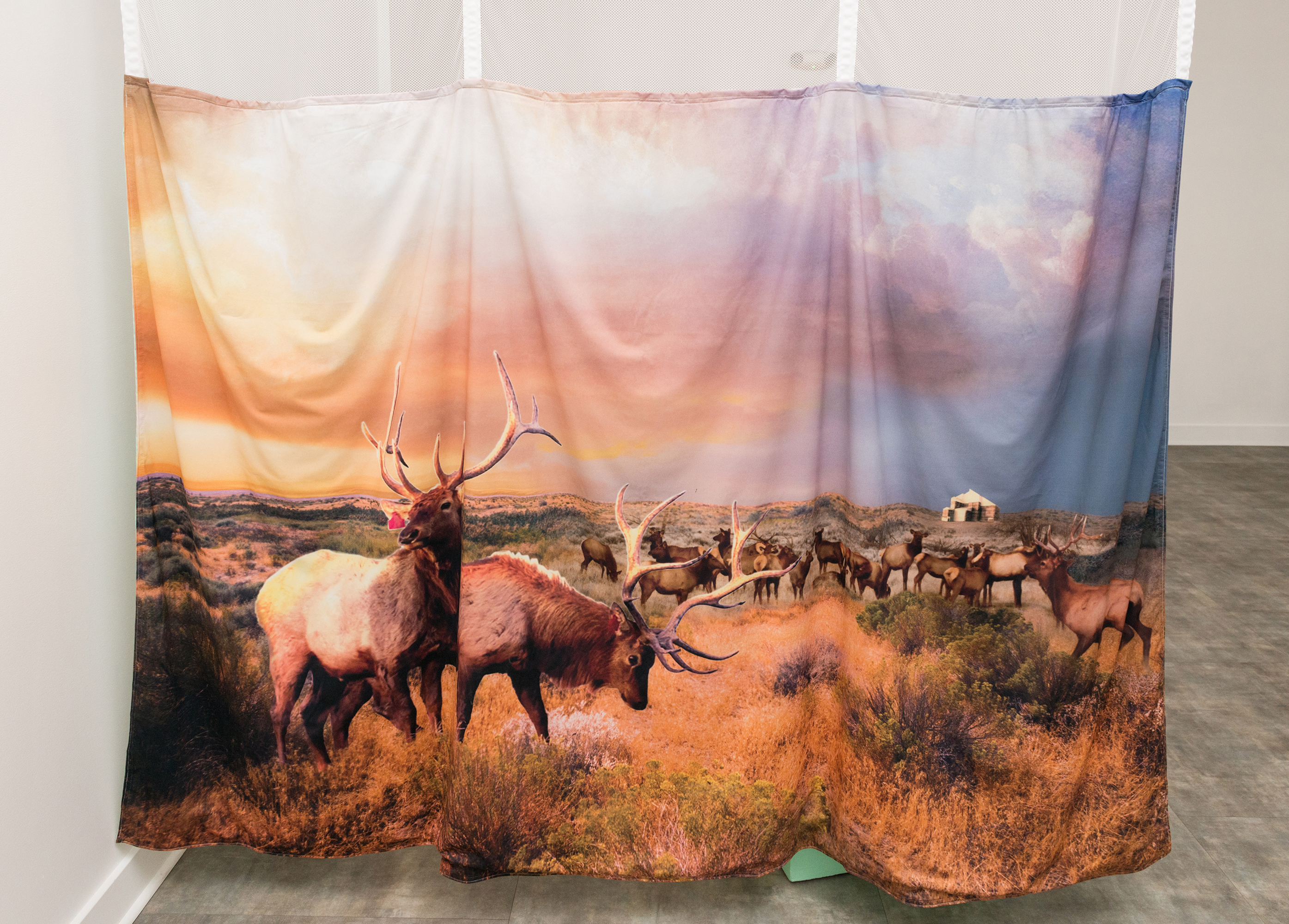 Nature is Healing (to us), hospital curtain with print made from collaged materials (photographs of elk from government reports on elk herds at Hanford, the entombed C-plant at Hanford, and Hudson River School paintings), and hospital-green fabric
