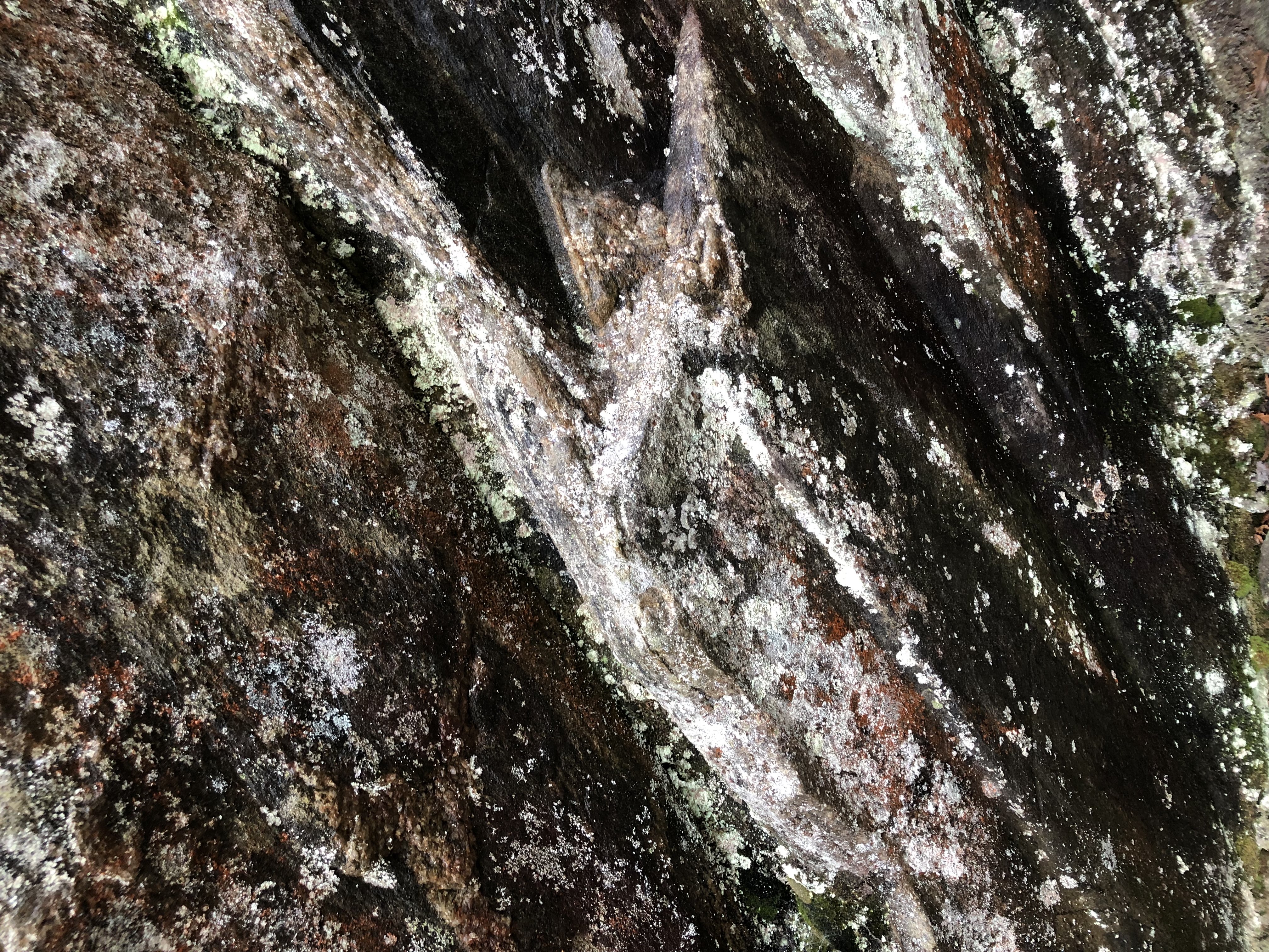 Charlevoix, photo personnelle