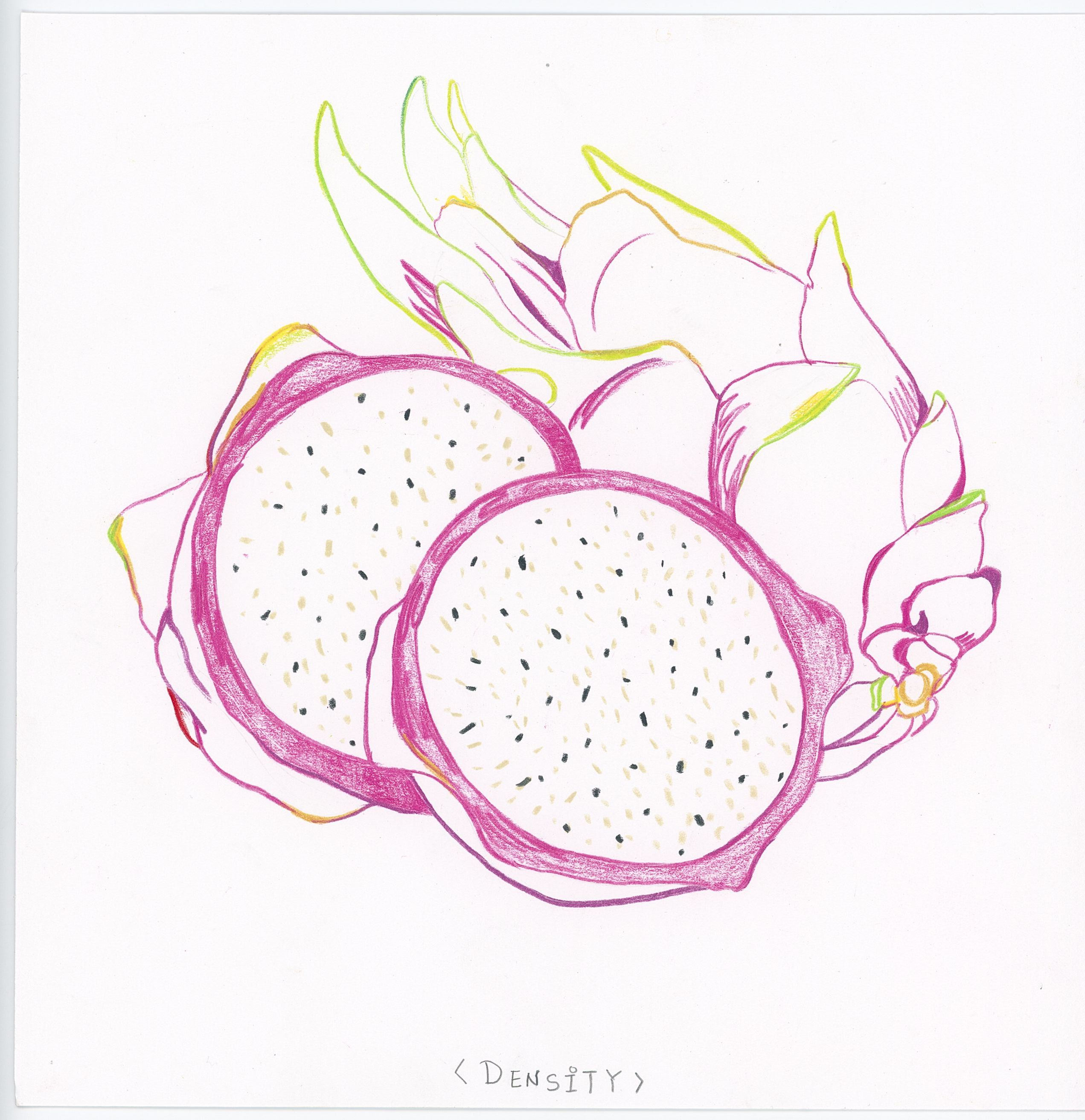 Dragon Fruit Drawing High-Res Vector Graphic - Getty Images