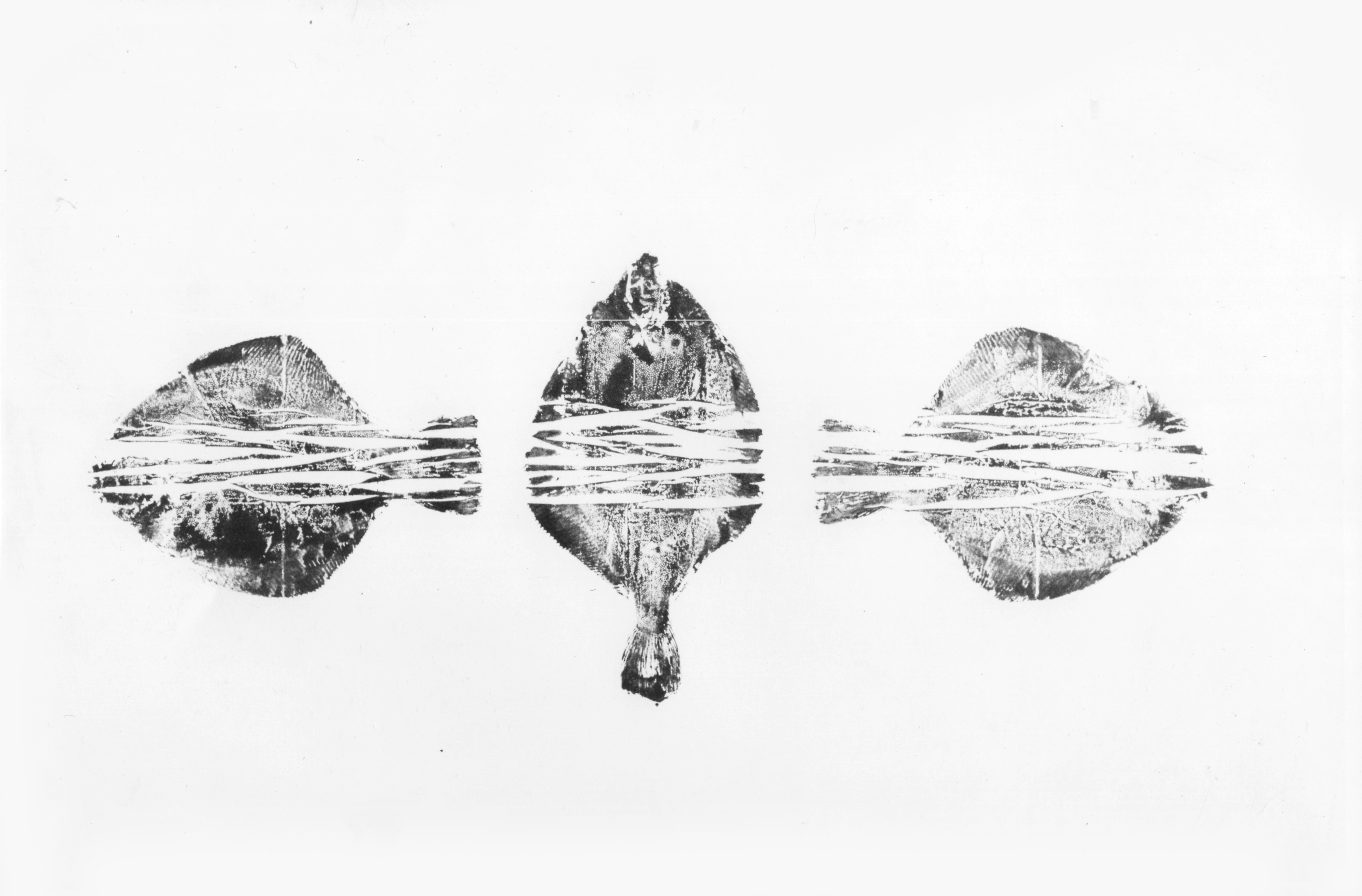 06- poissons composites, 140x55cm