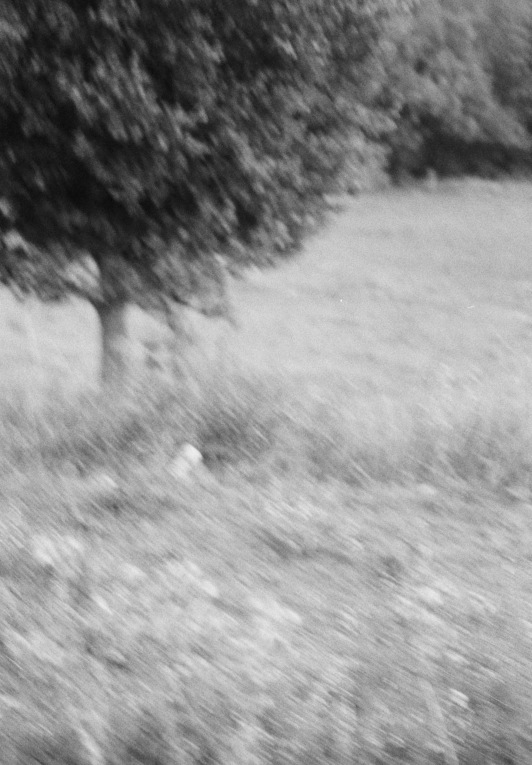 Contrechamp / PDF / dimensions variables / 2025.