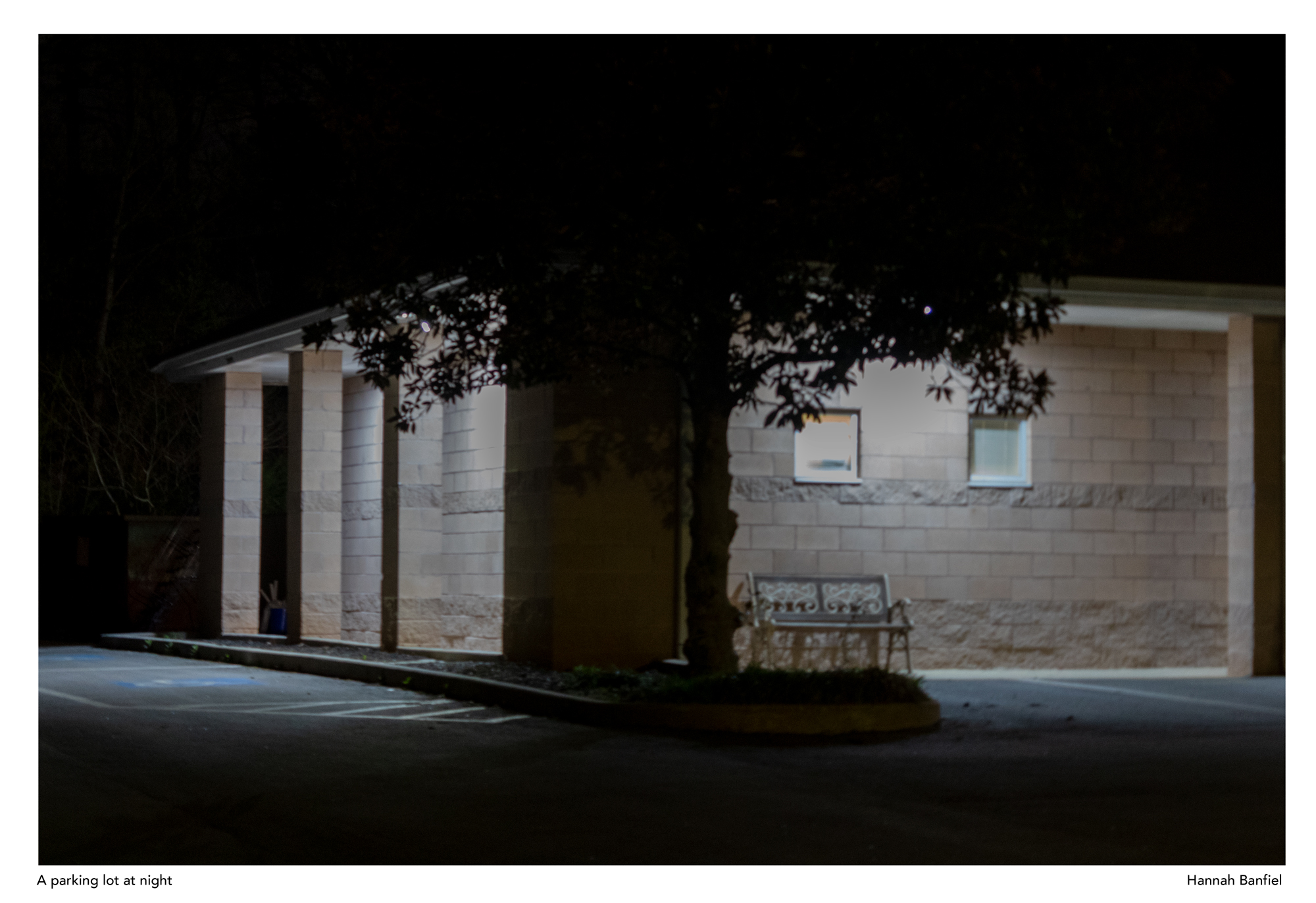 Art 115: Intro to Digital Photography