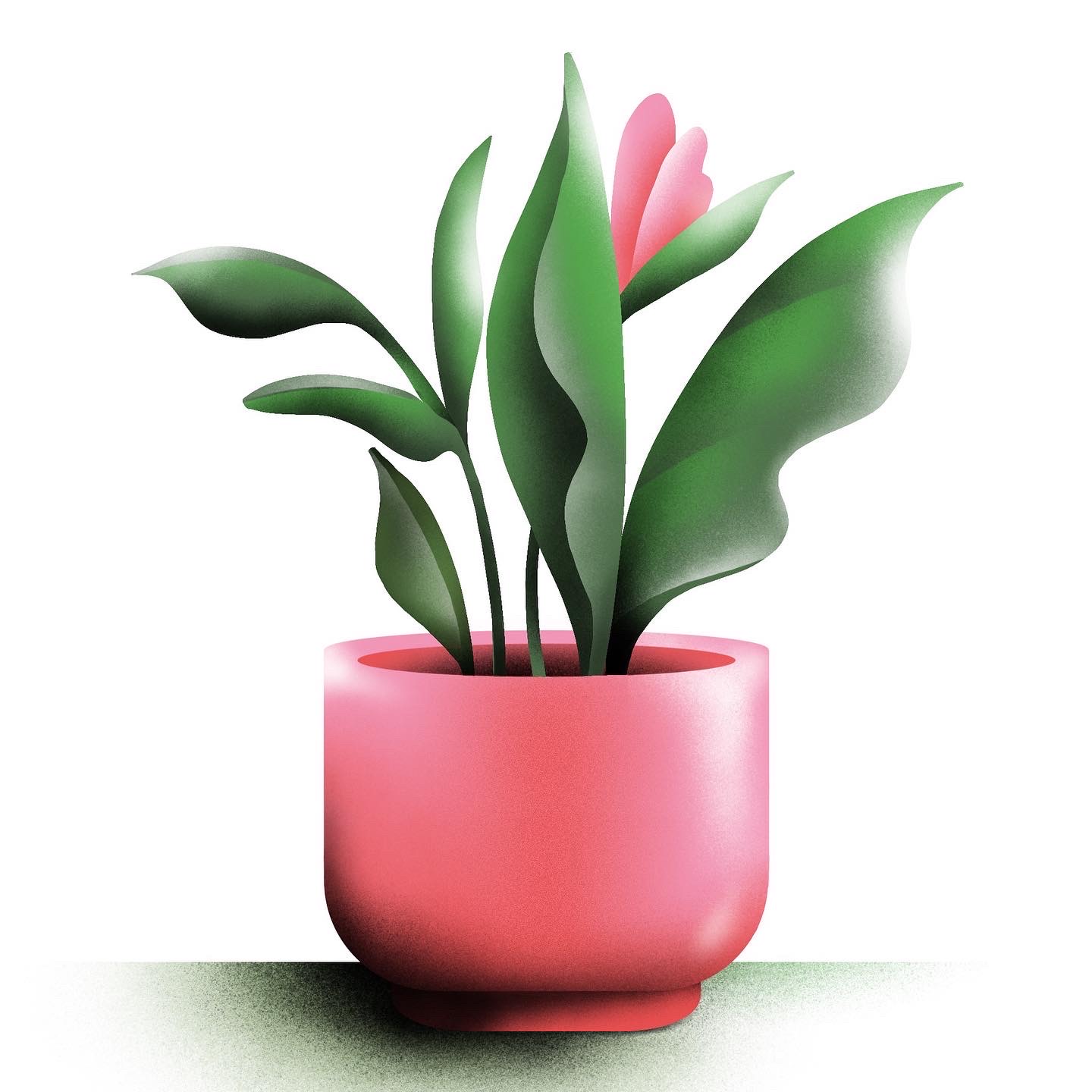 PROJECT: PHOTOSYNTHESIS