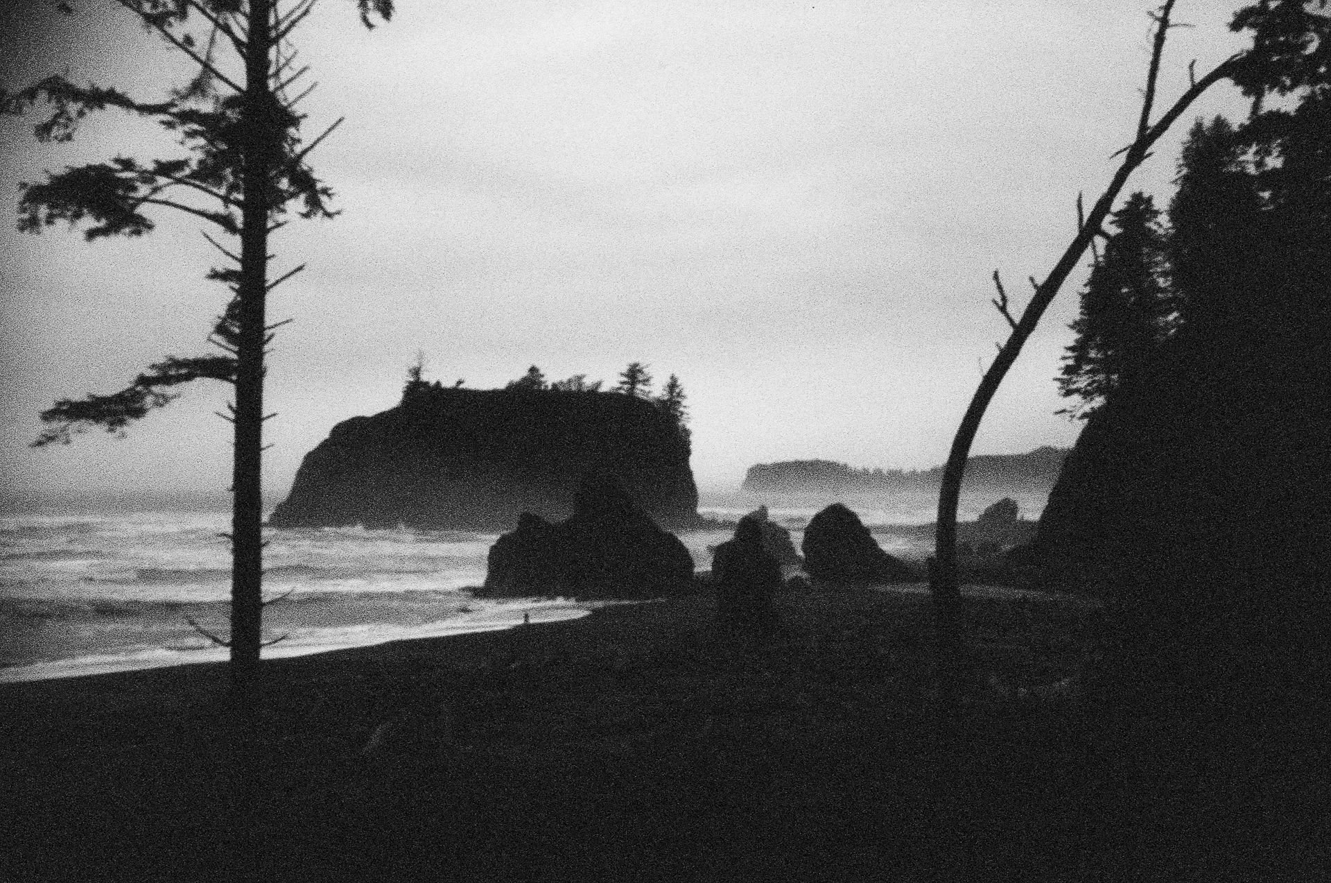 Sea Breathes