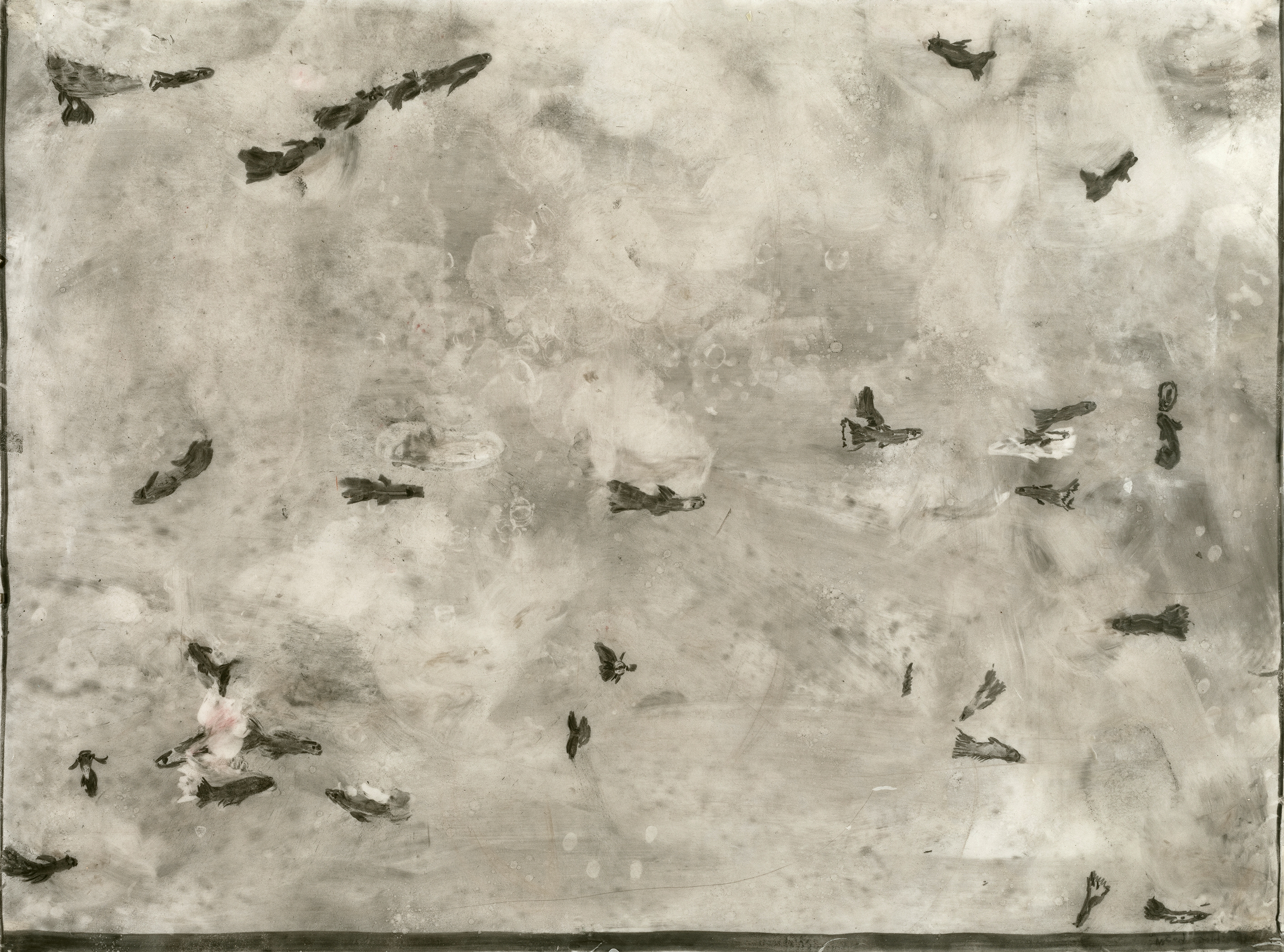 Aquarium 2, 120 x 90 cm, charcoal, wax on transparent paper, 2019