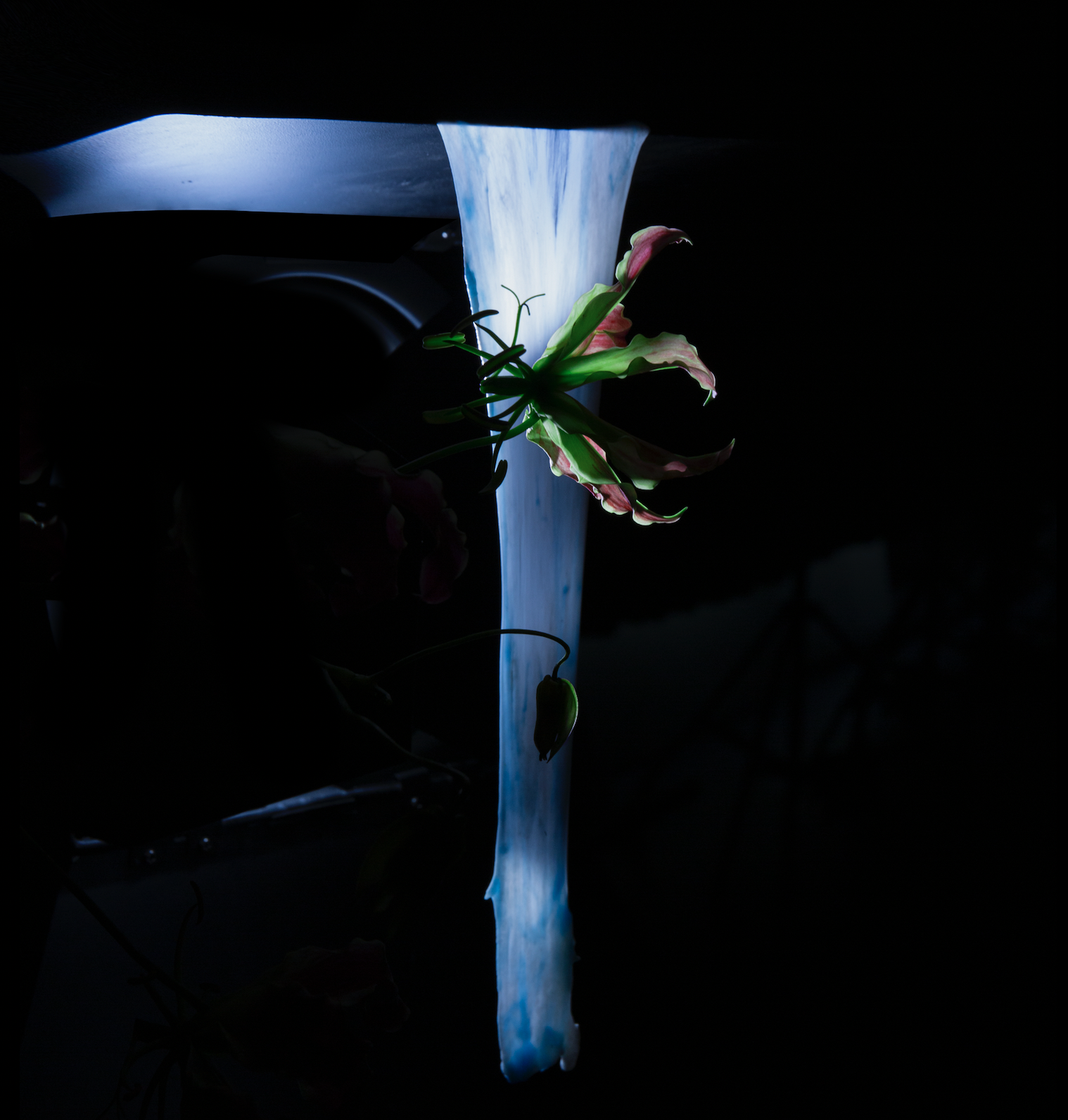Scent series [2022] documented by Constantine Virtanen