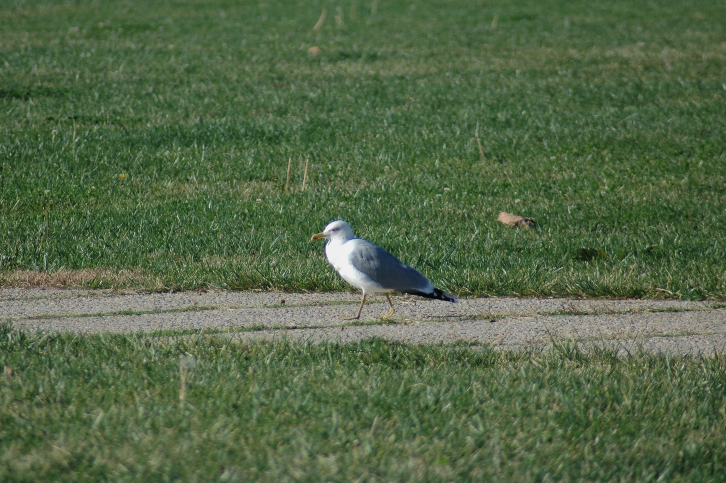 14.12.2024, Otobüs durakları