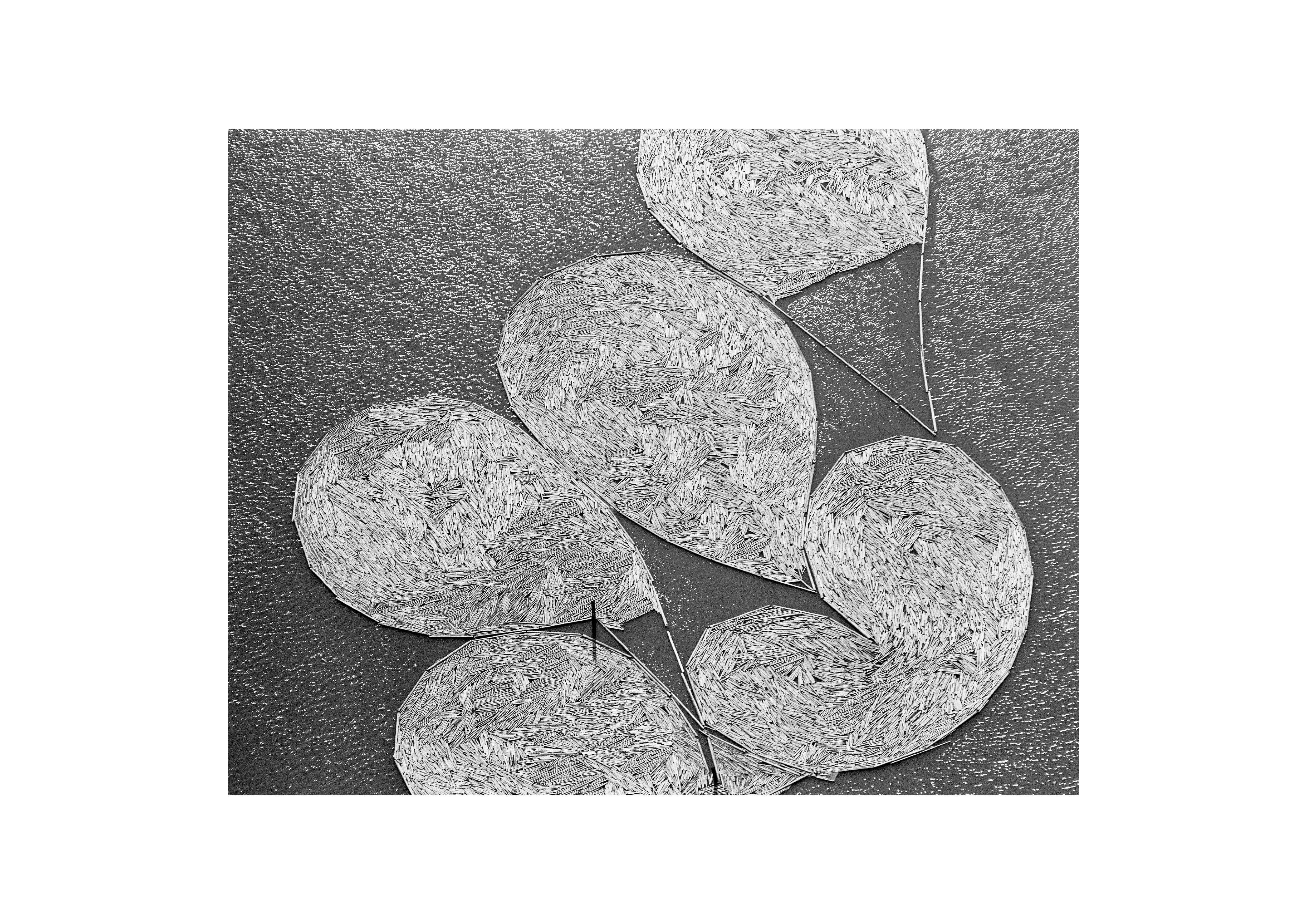 tømmerfløtingsøyer