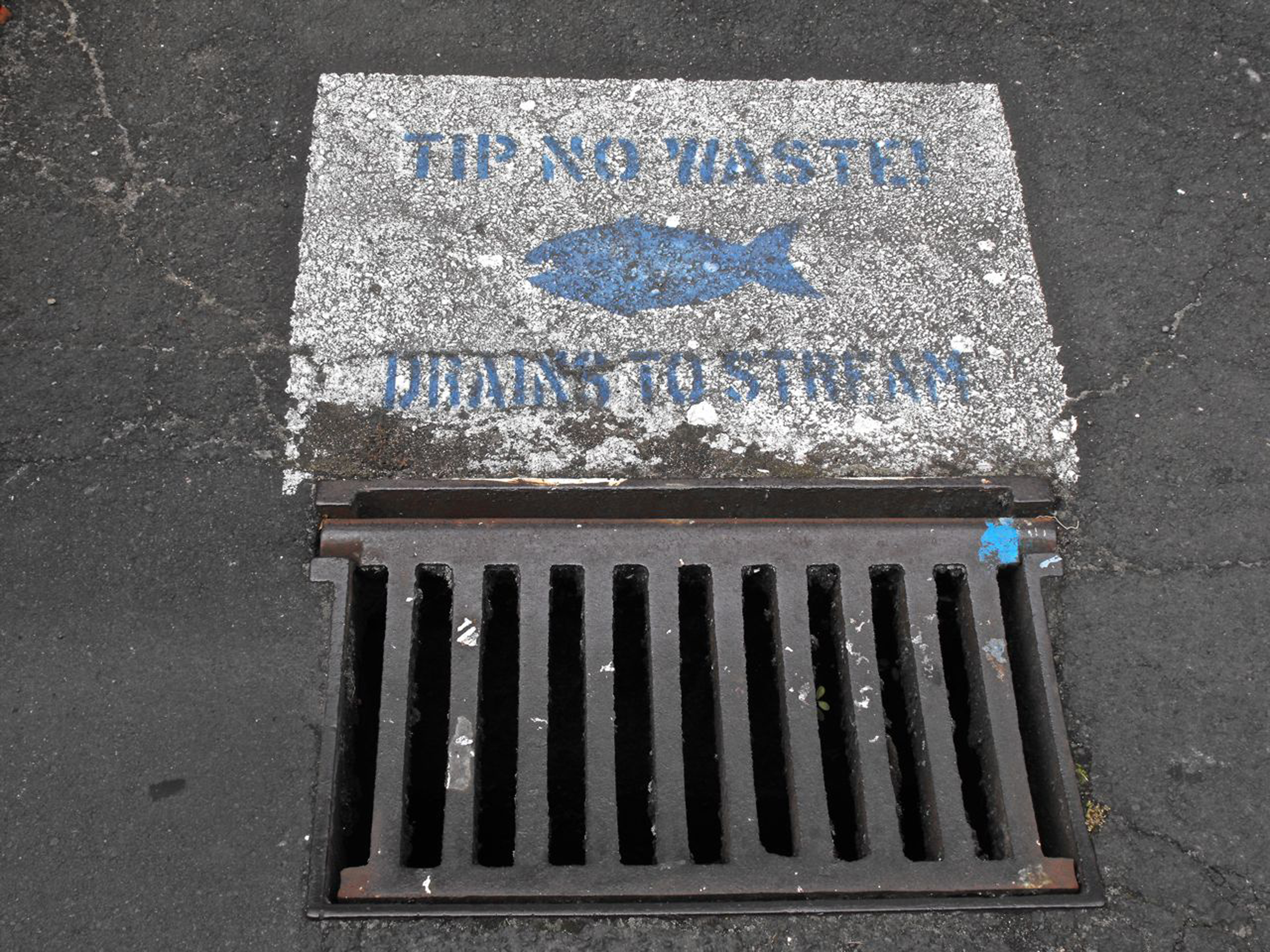 The Drain. Photograph: Hubertus Mick (MICA)