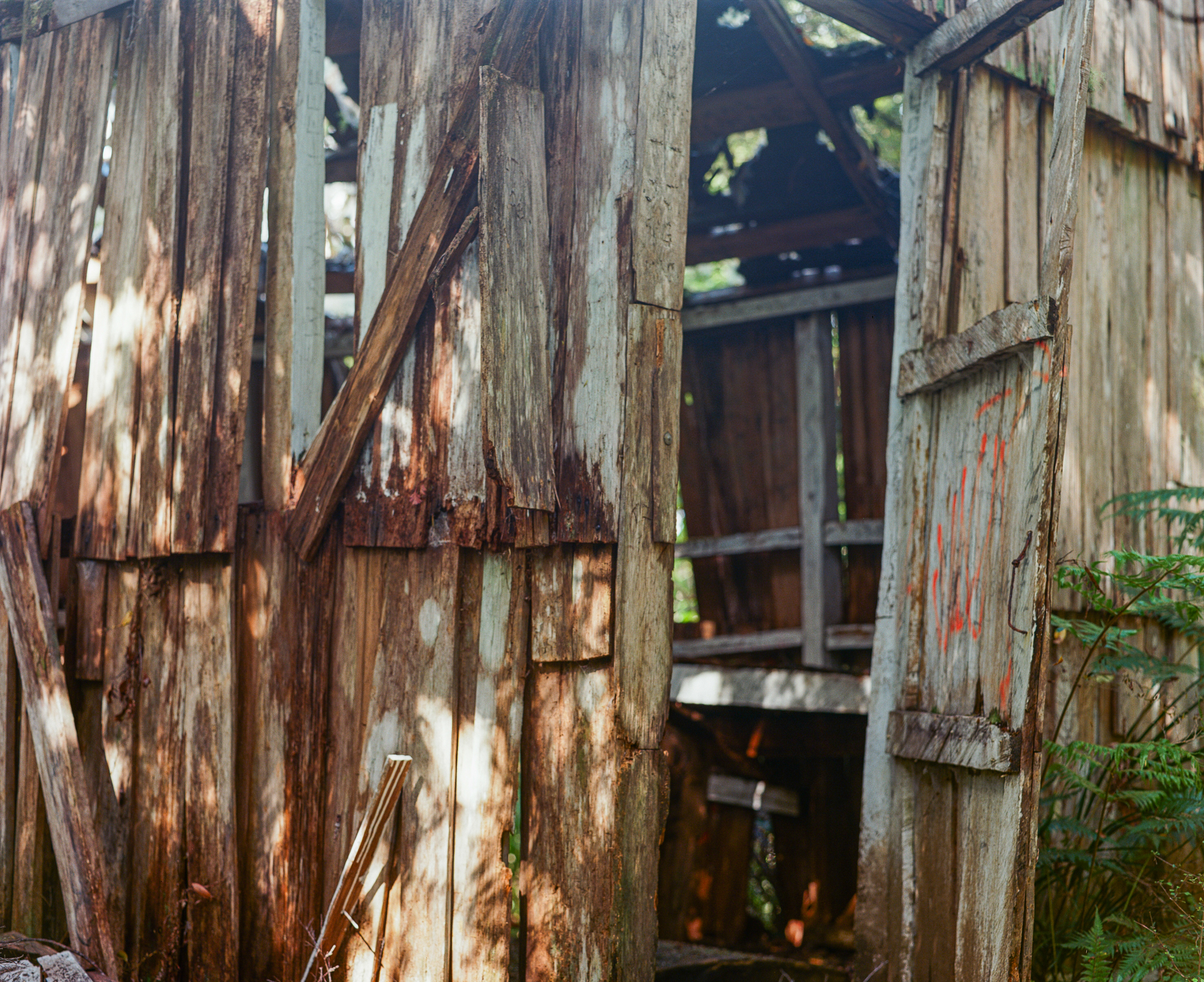 Kauri logging hut, detail of doorway, Warawara ngahere.Photograph by H. H.