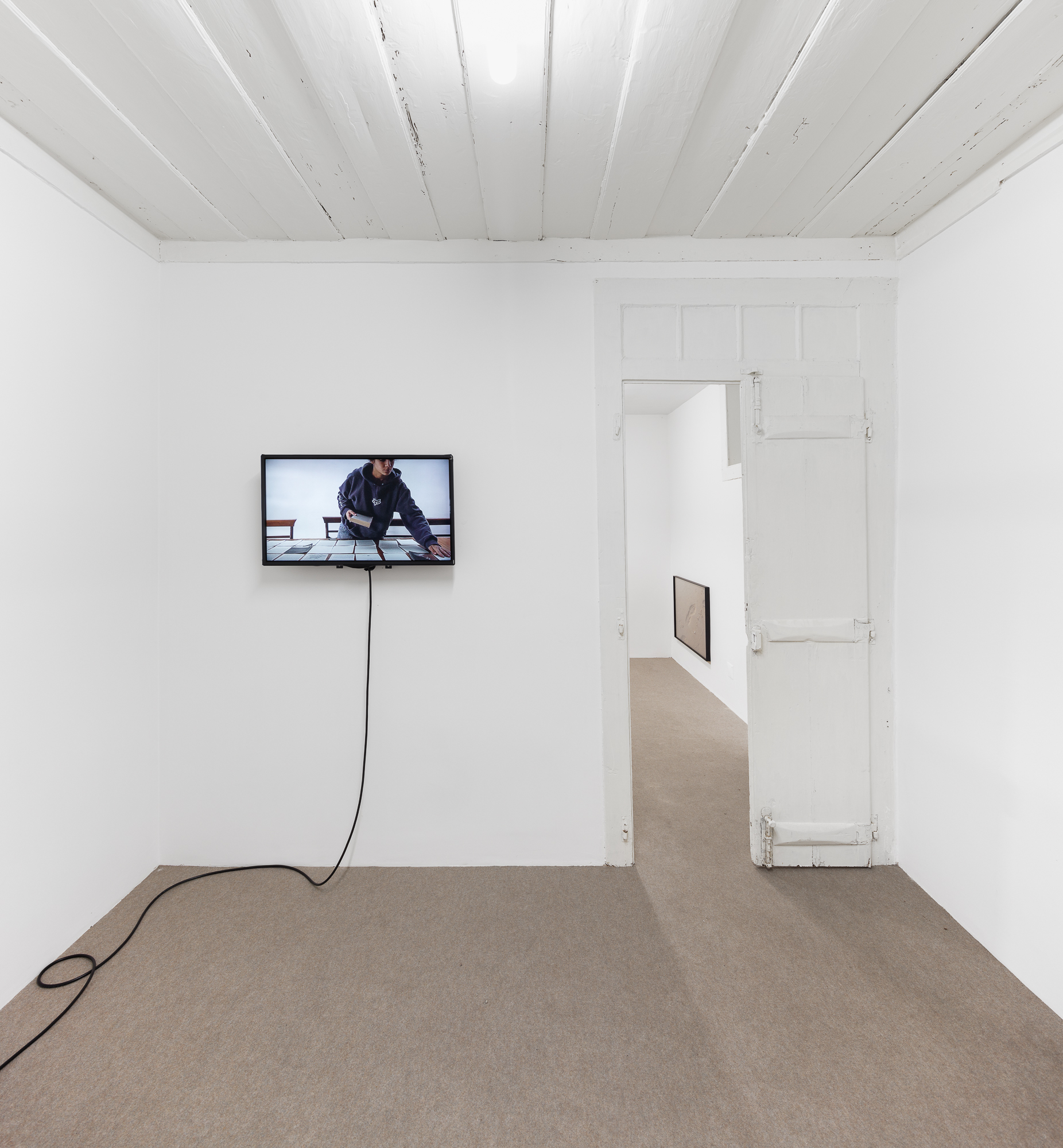 Francisca Aires Mateus, Portrait of a Lady (2012)