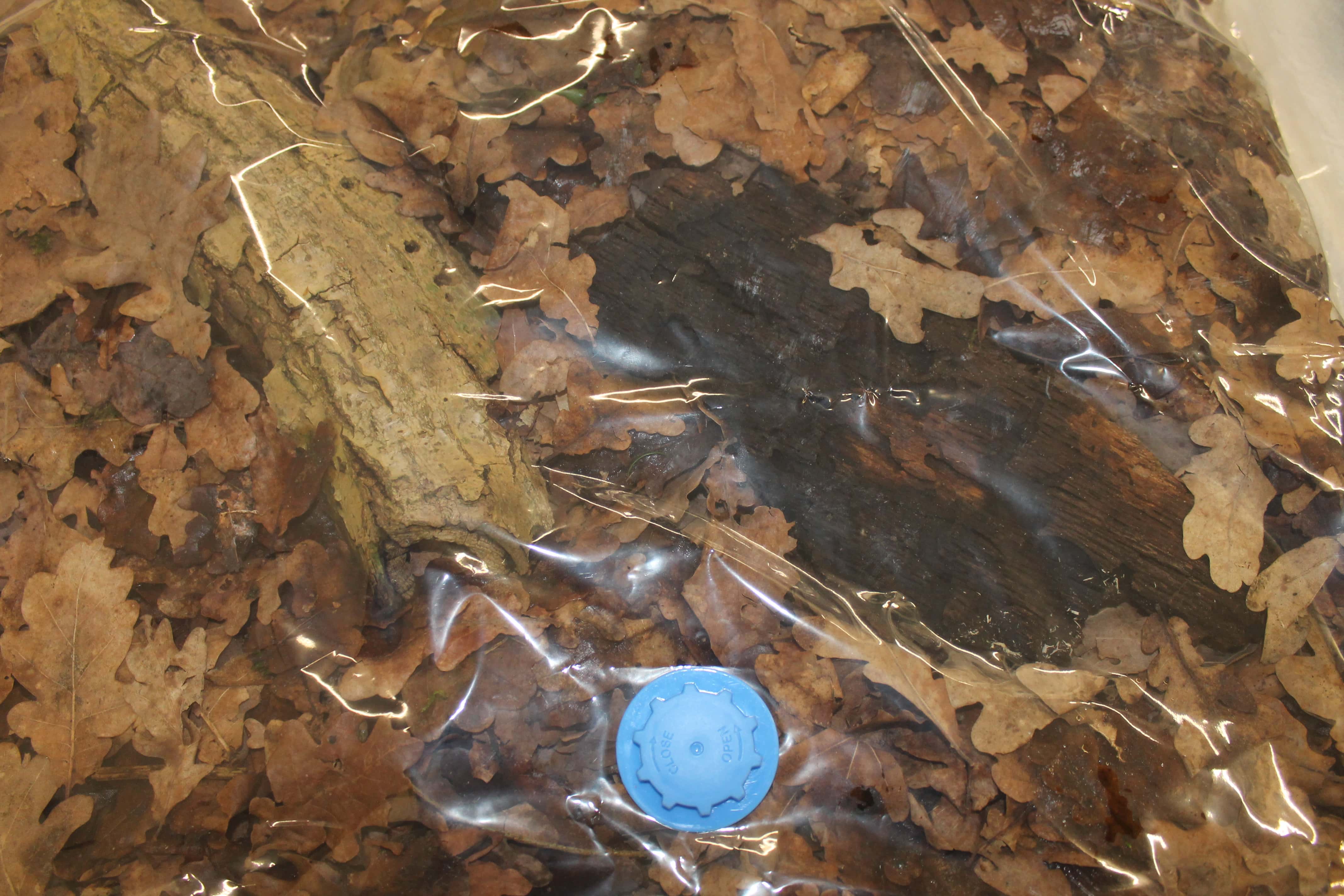 Exhibition view at ES356, Düsseldorf