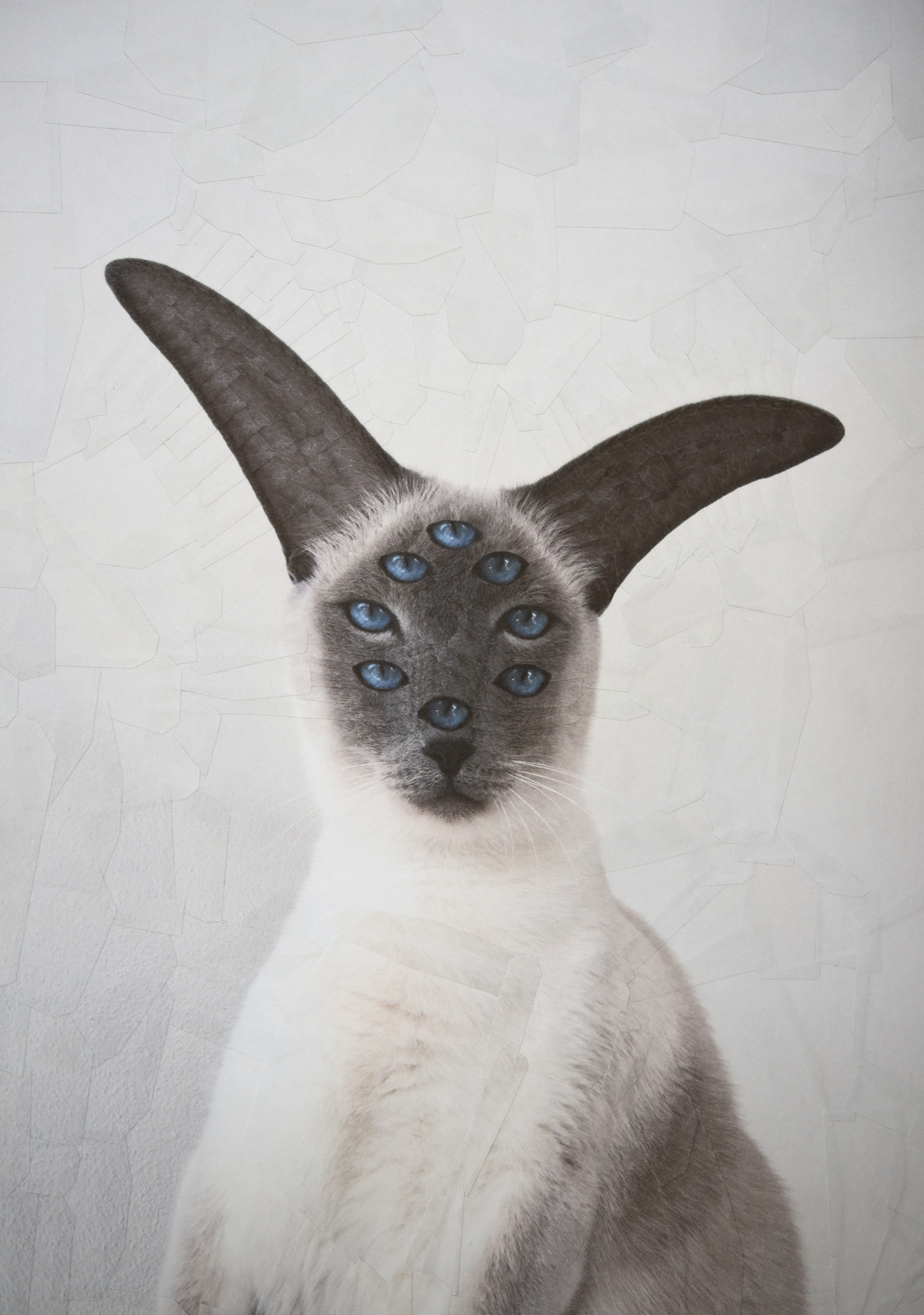 Felippo, 2018, 8.2 x 11.6 inches