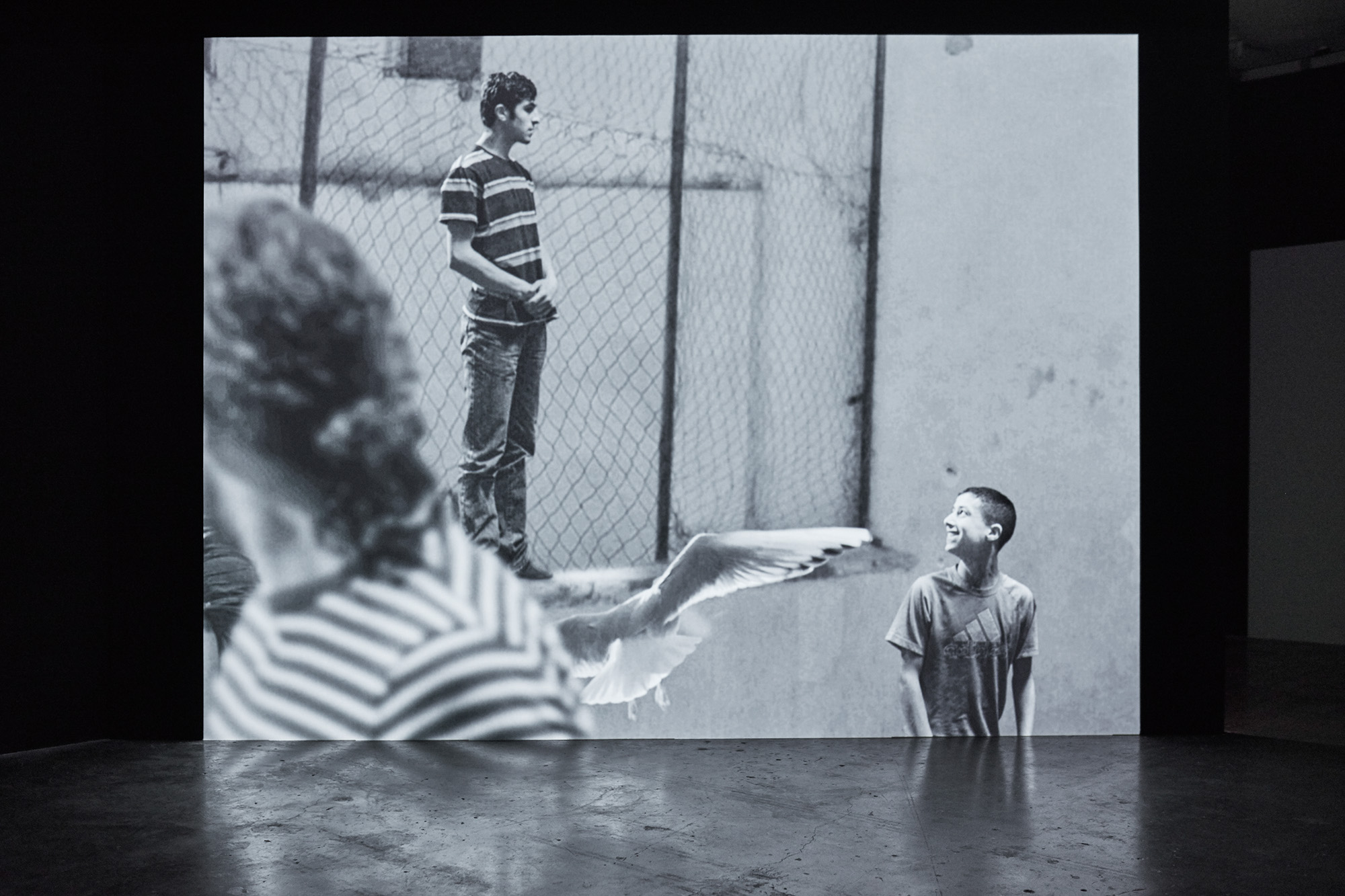 Project Arts Centre Dublin 2015 (photo Ros Kavanagh)