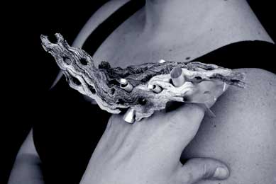 Cindy B. Monroy Photography  