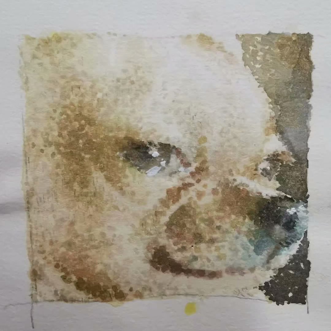 Let me ride my beloved little Moto