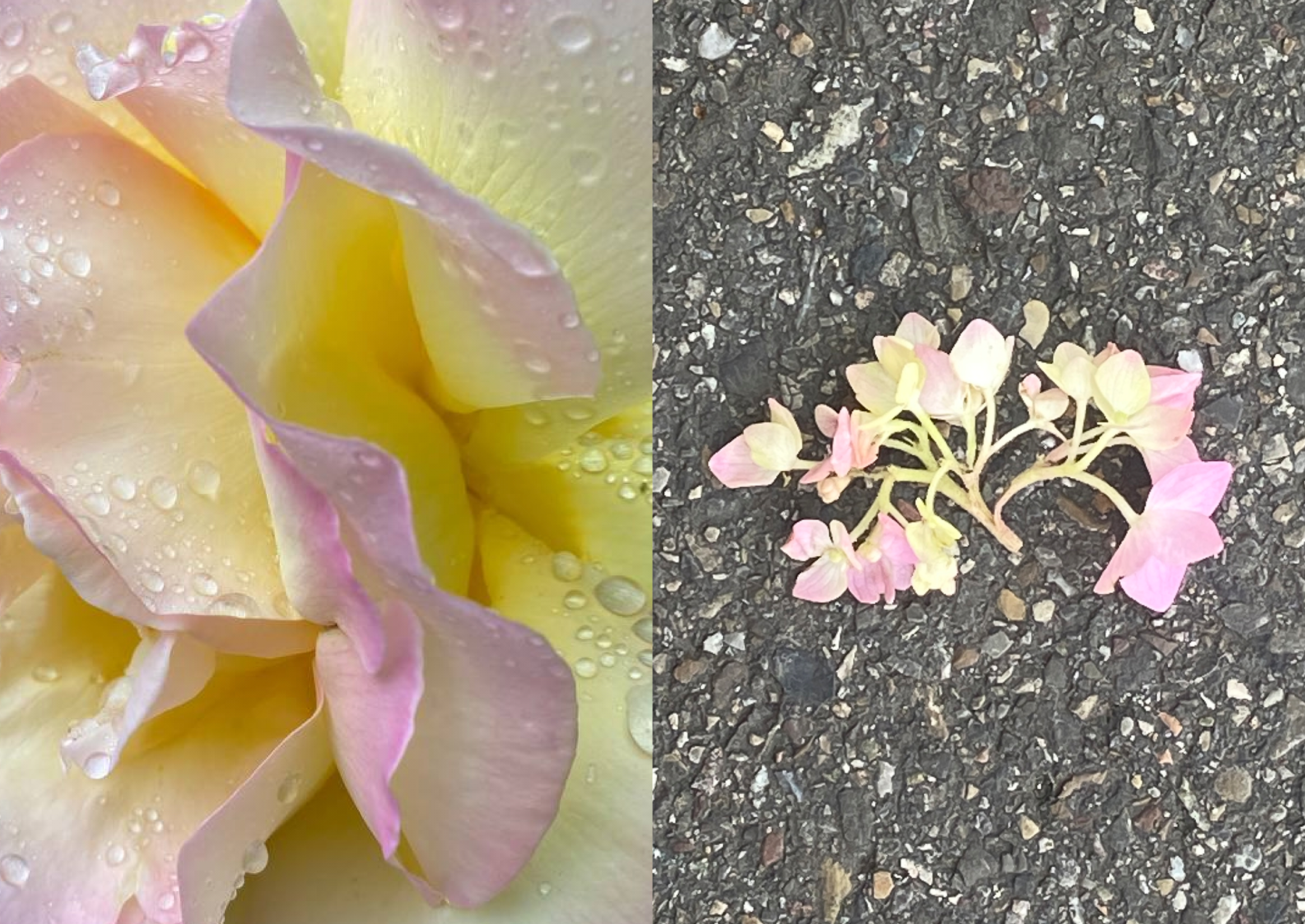 17/18