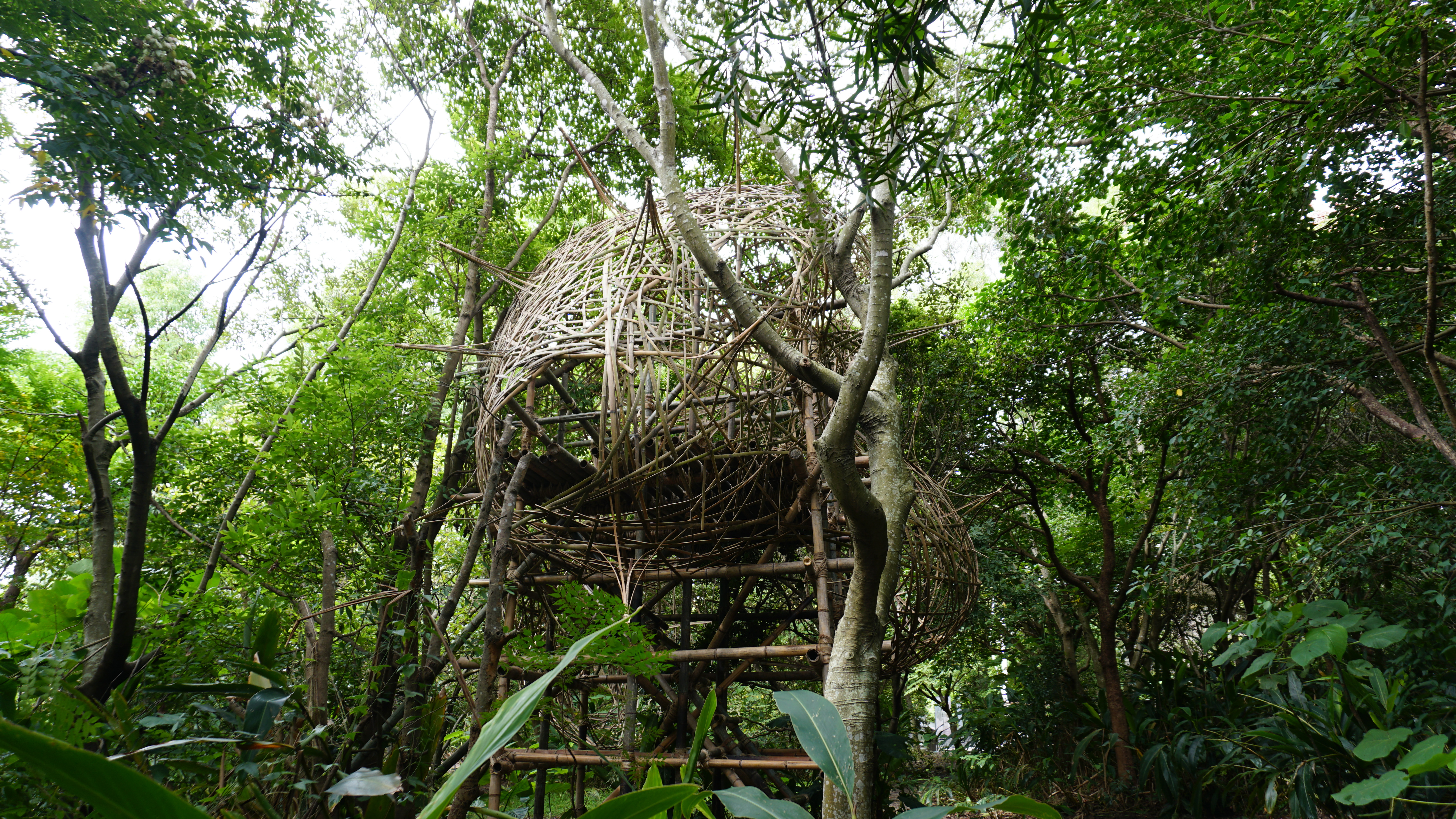 ↑　2018_ "Guandu International Nature Art Festival"