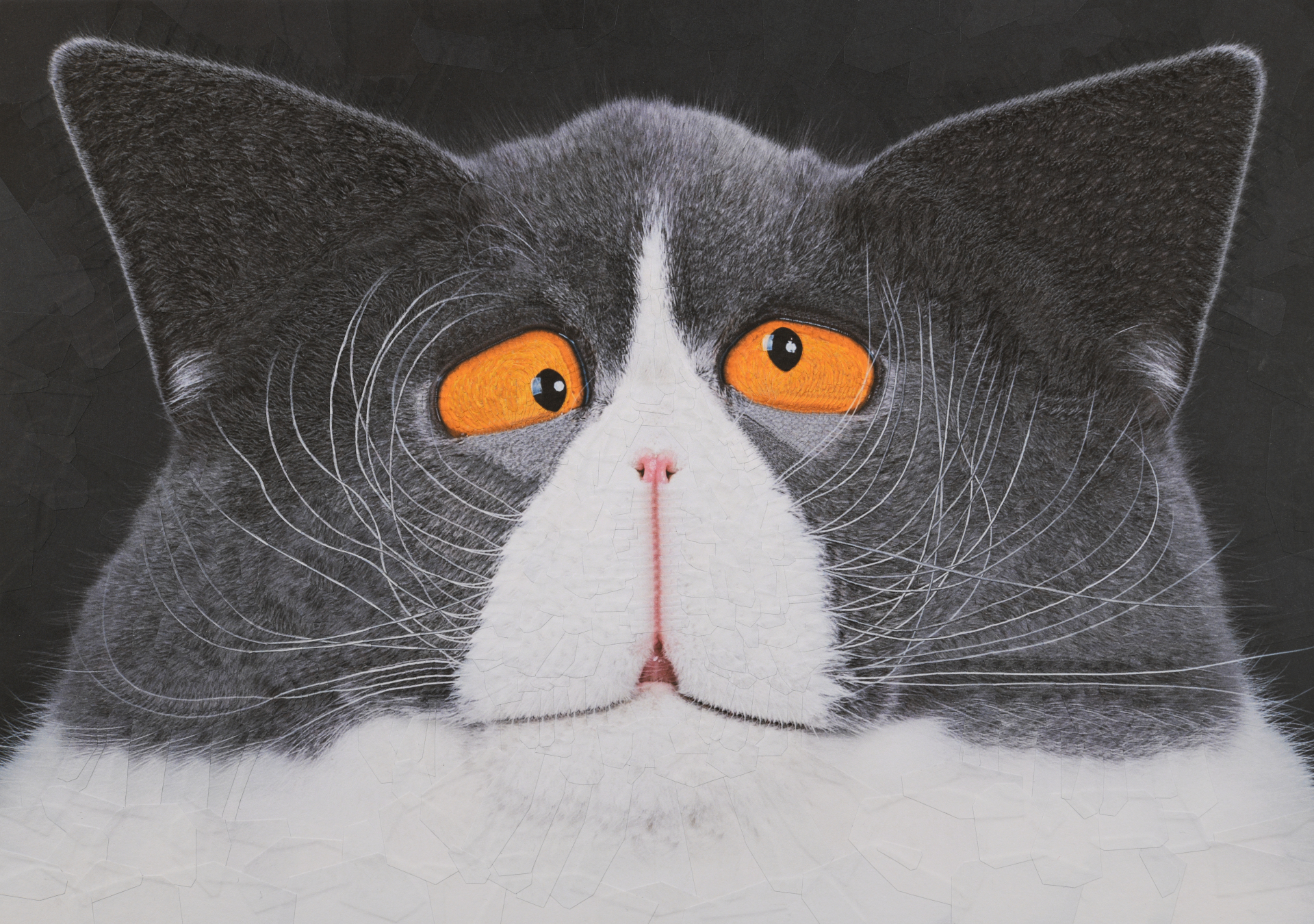 Scipio, 2024, 16.5 x 11.6 inches