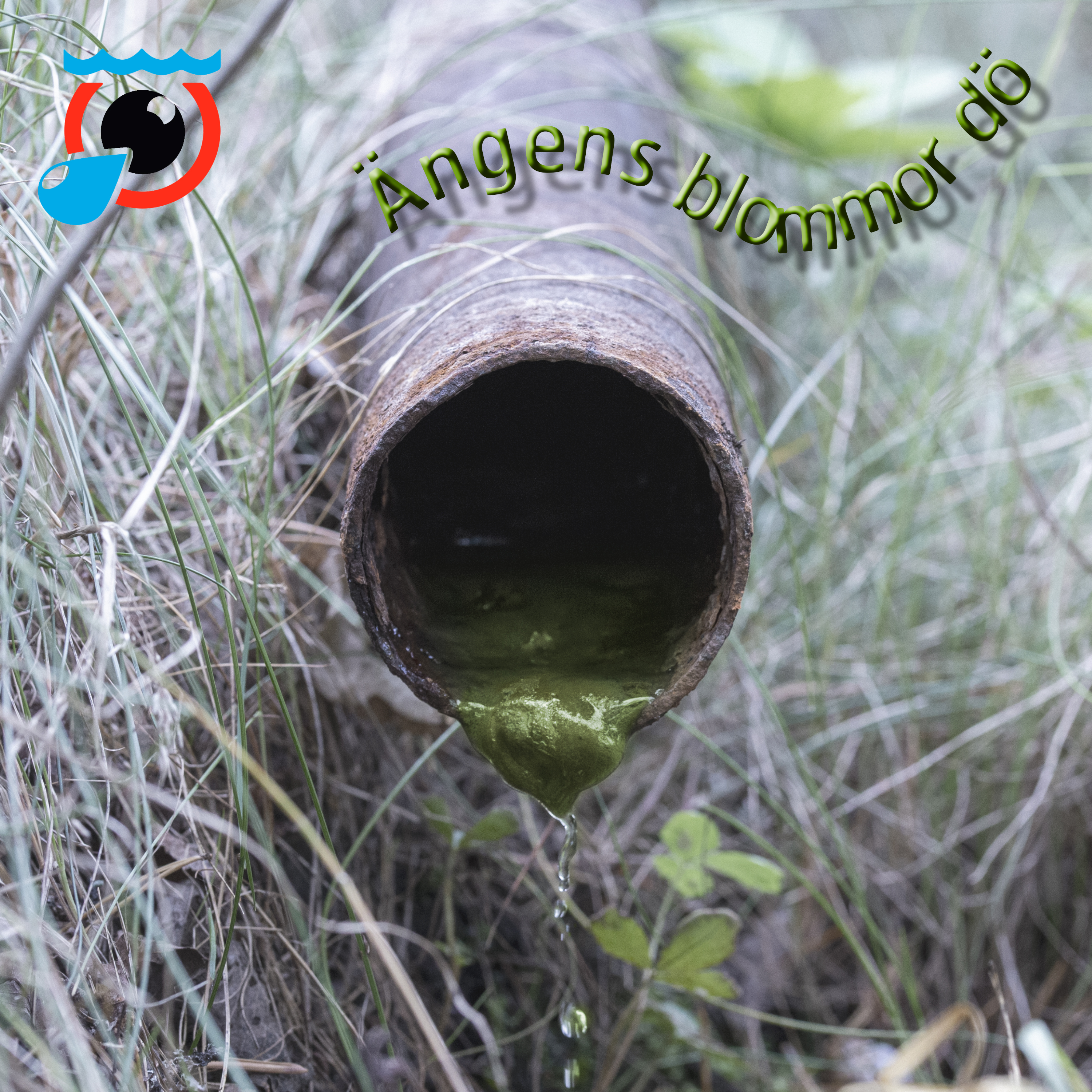 SEPREC081: Uvberget - Ängens blommor dö