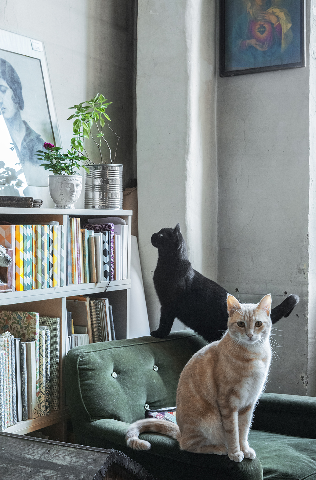 PHOTOGRAPHY RAF STUDIO FOR ASTIER DE VILLATE ELLE DECOR KOREA