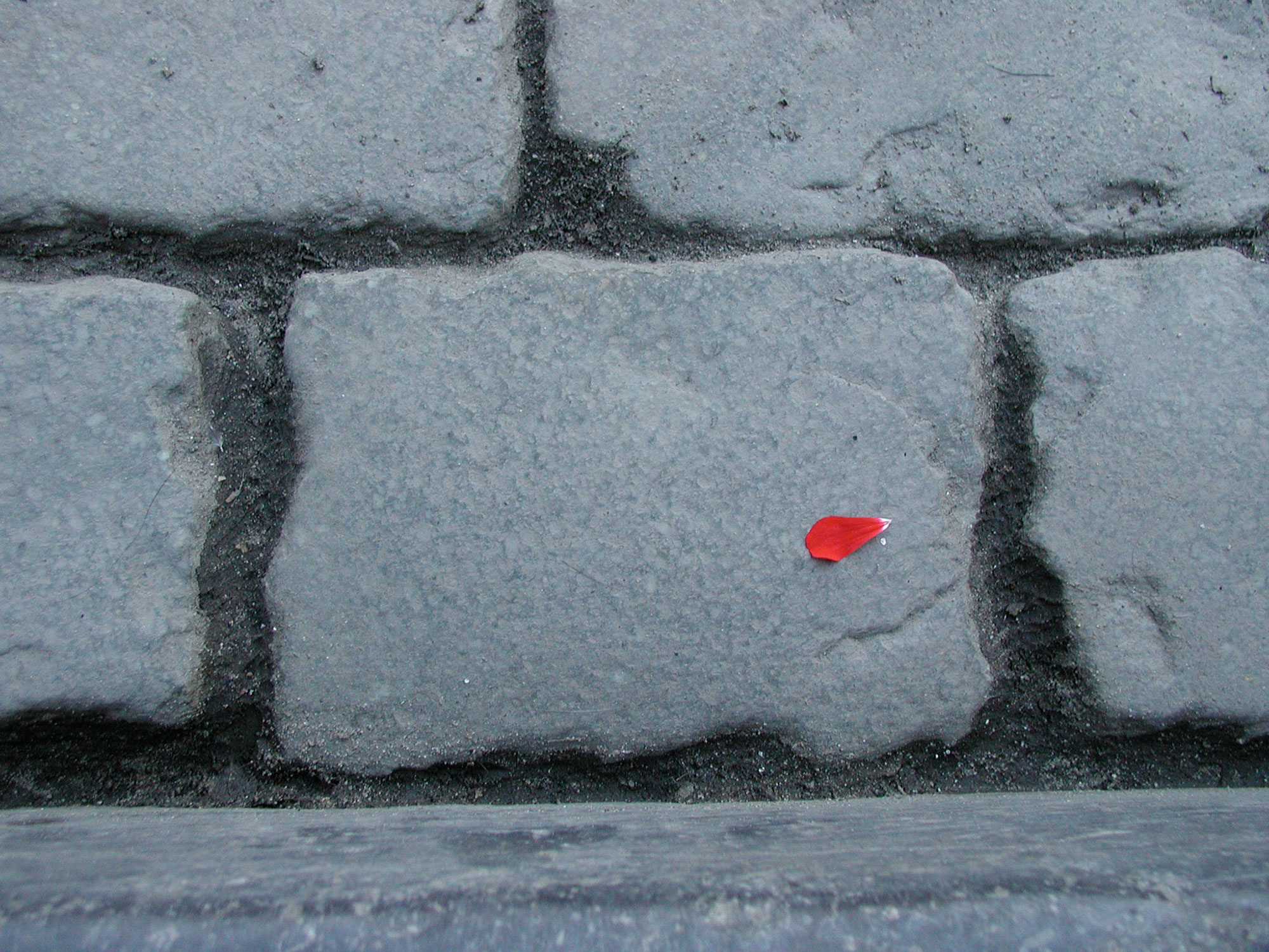 Abstract Ground with Red