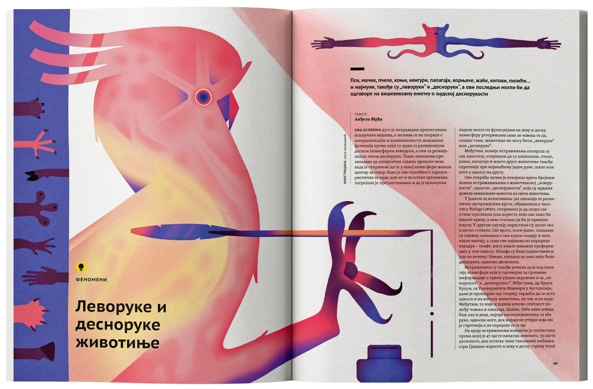 Left-handed and Right-handed Animals