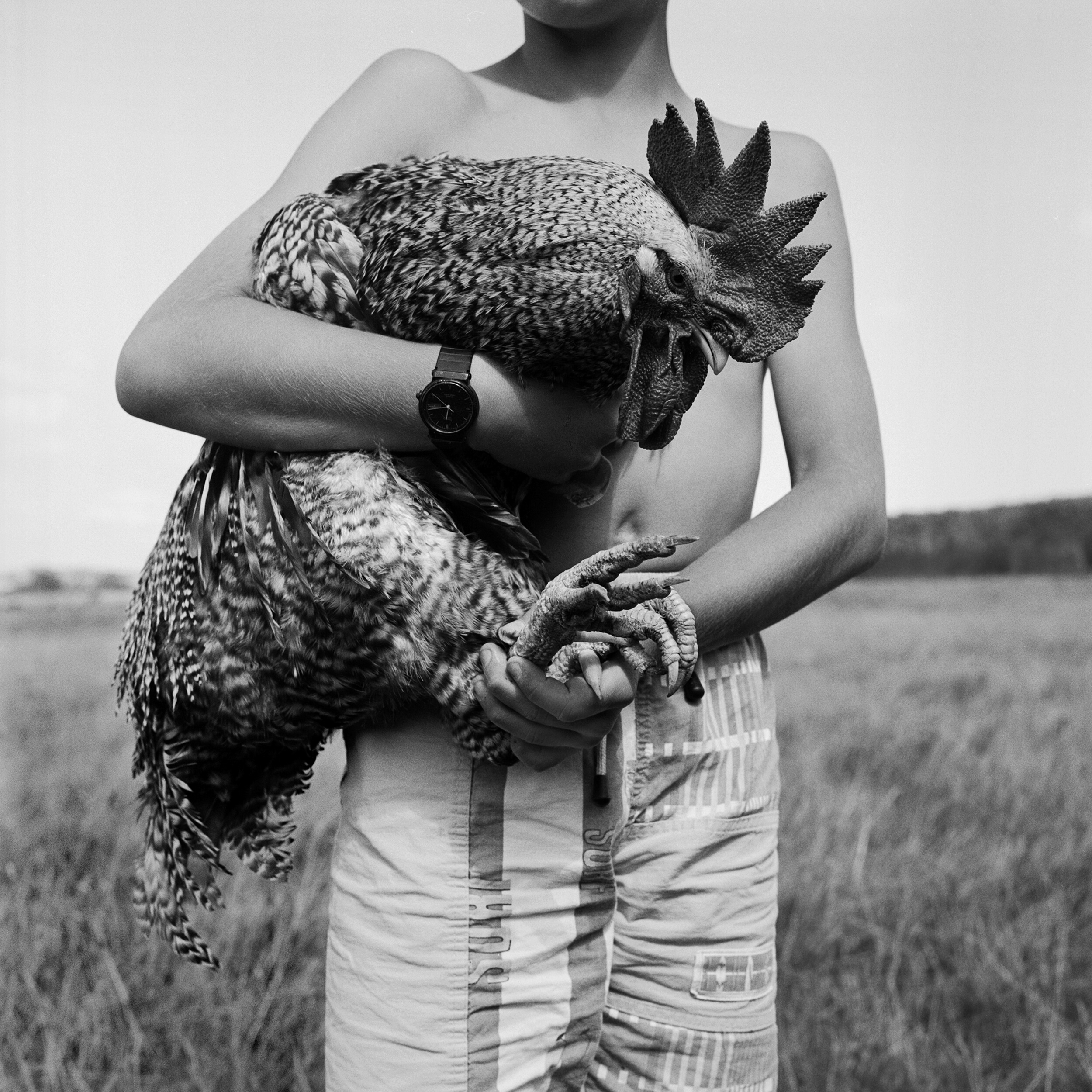 The SEXUALITY & VIOLENCE of ADOLESCENCE