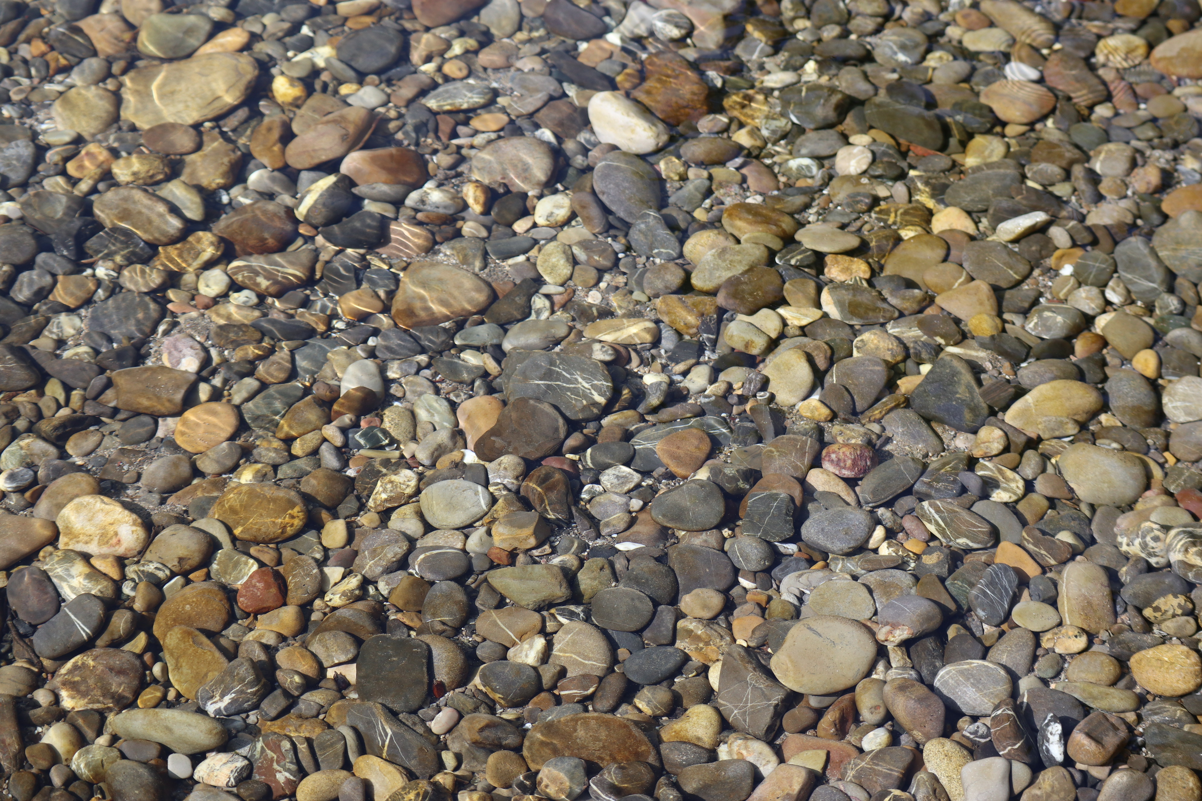 In kleinen Dingen Grosses entdecken