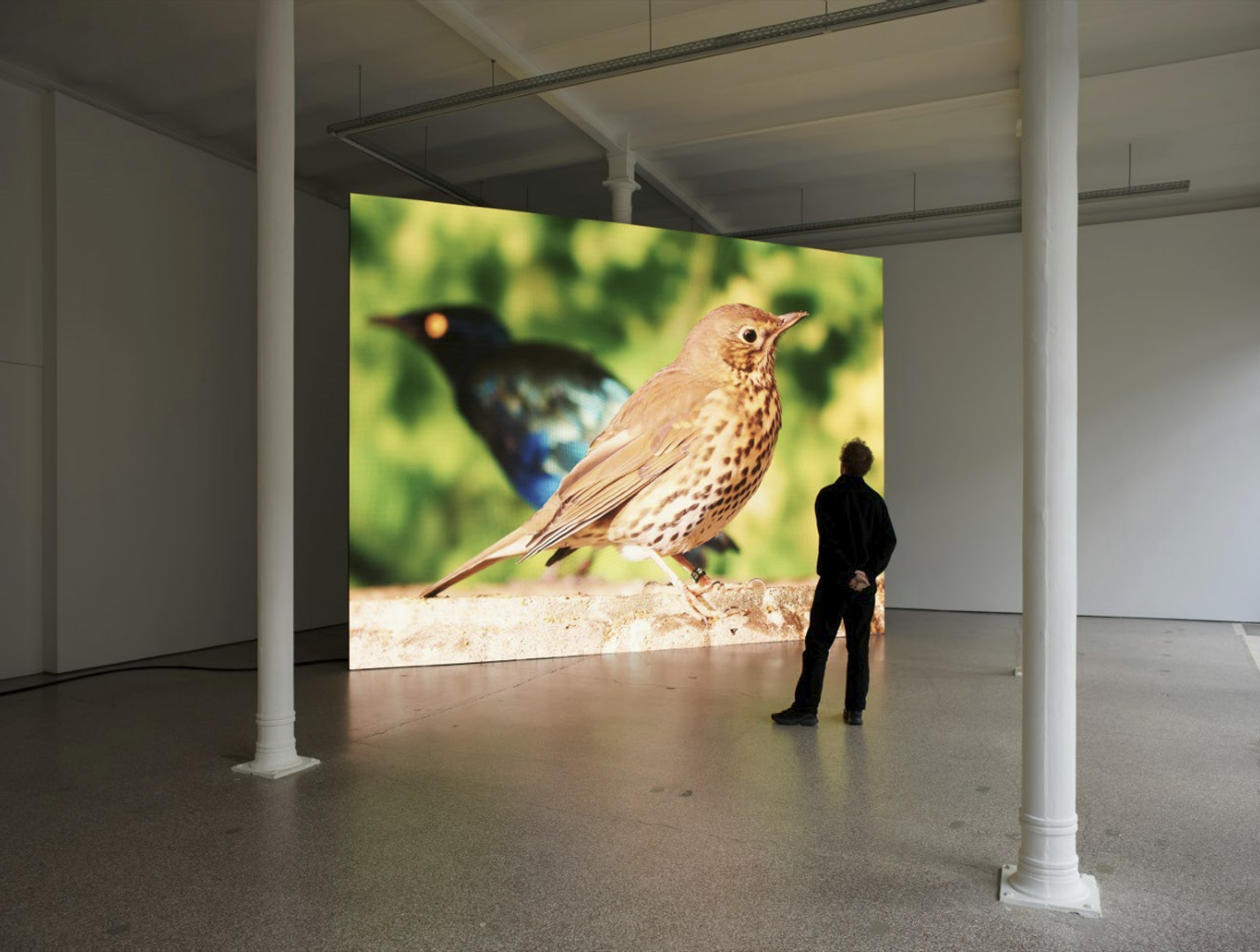 Galerie Greta Meert, 2023