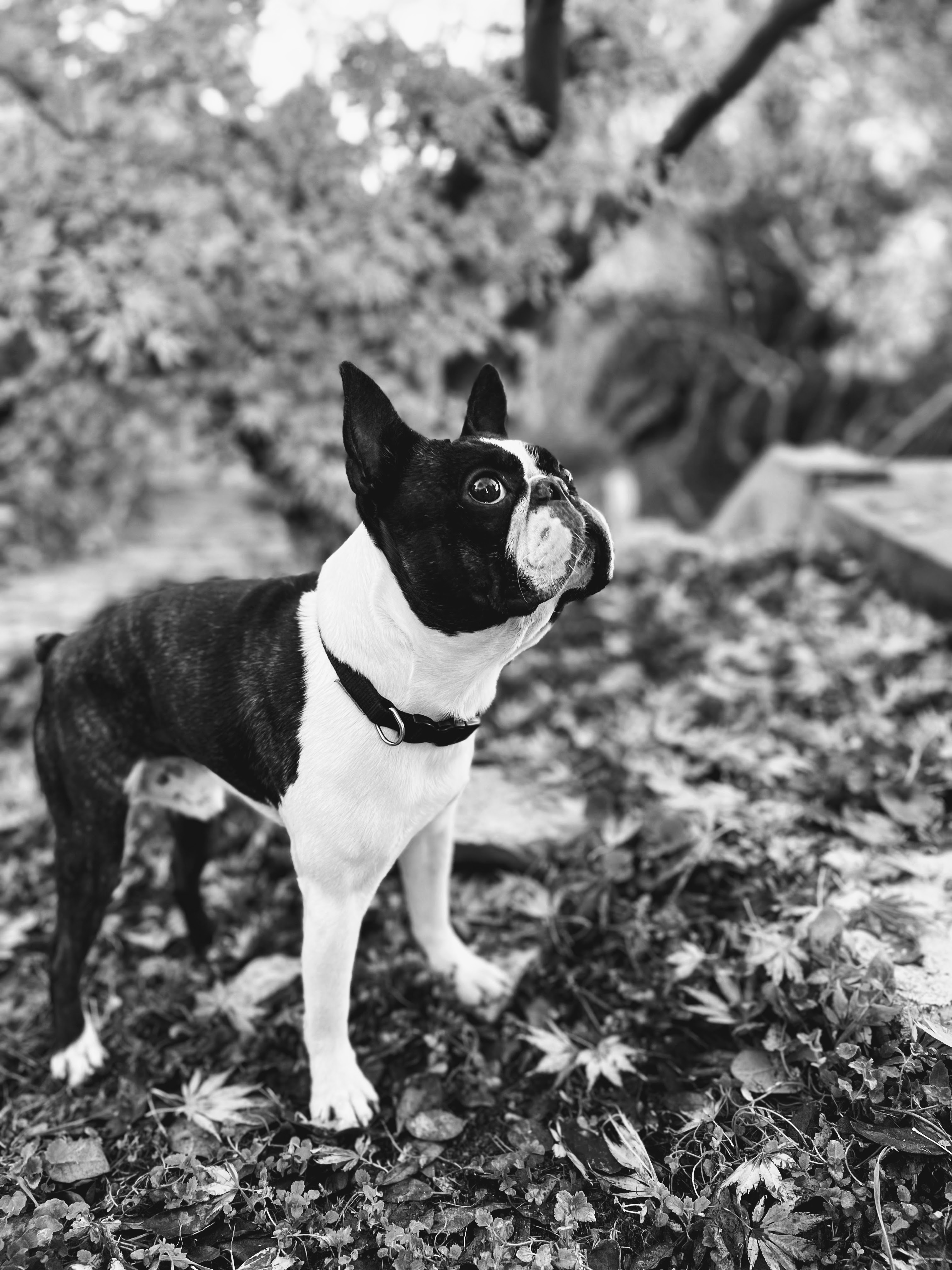 Milton, Bologna, 27-11-22