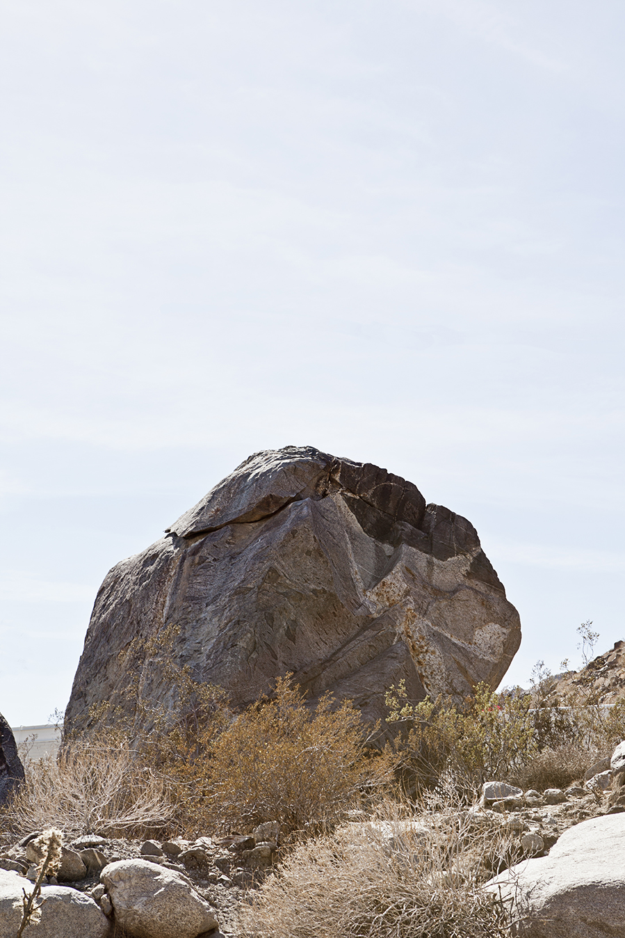 PHOTOGRAPHY RAF STUDIO FOR FROG MAGAZINE PALM SPRINGS