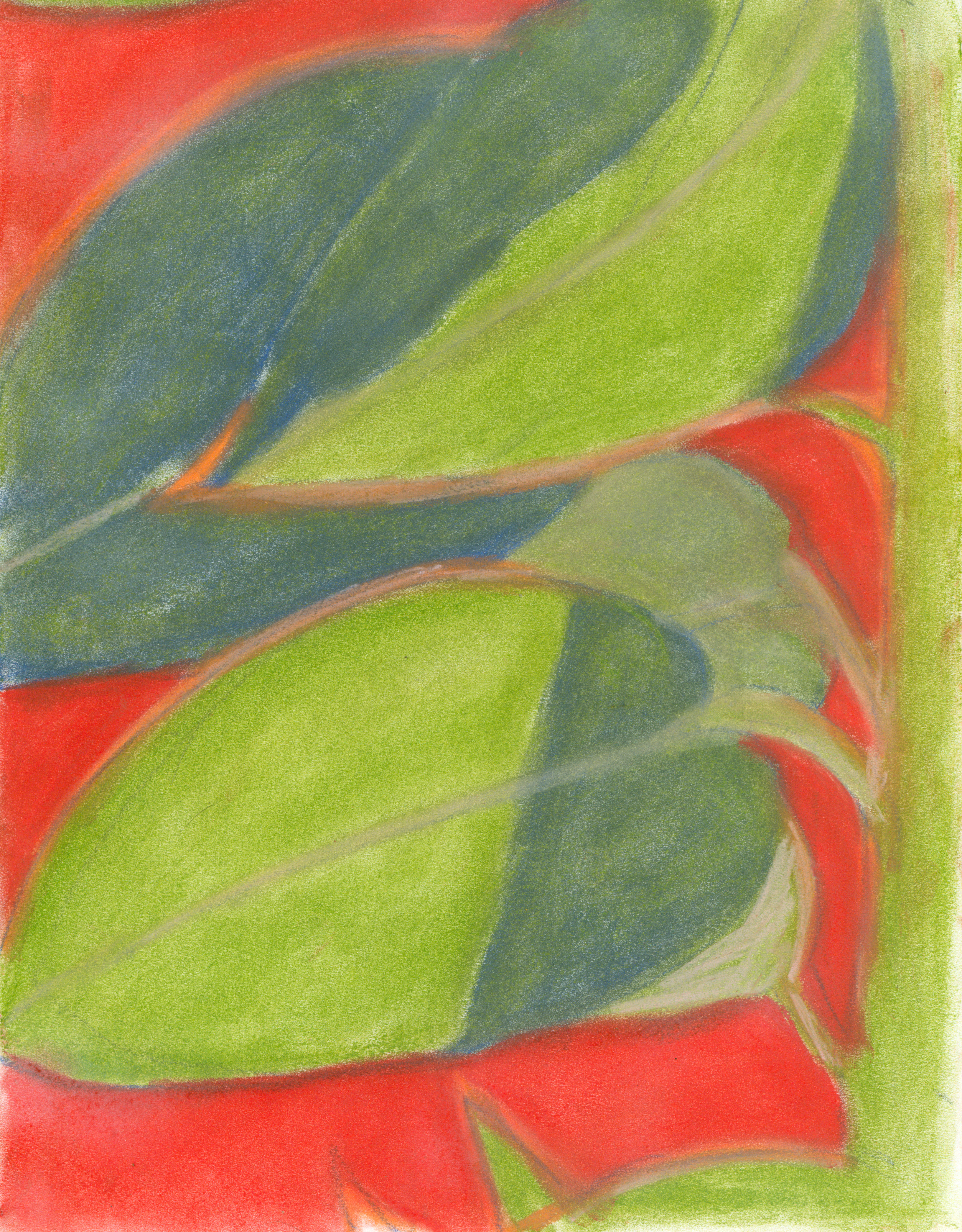 Manzanita, soft pastel on paper, 2022