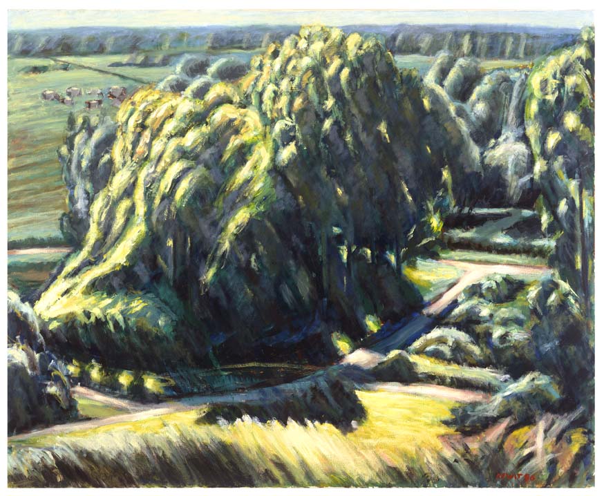 Spaarnwoude heuvel 1996 - oil 80x100 cm
