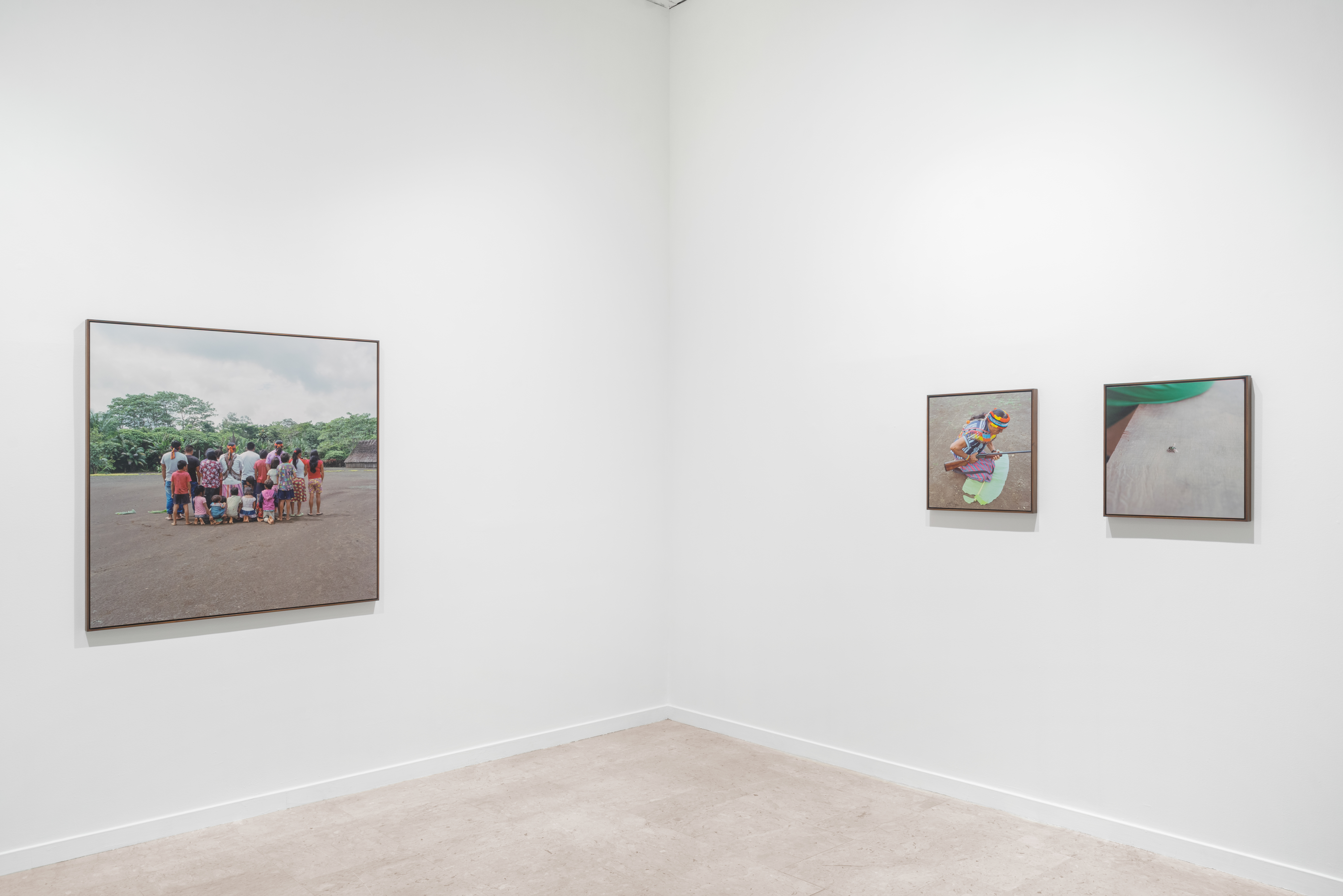 ‘Once Upon a time in the Jungle’ at the EXPOSED Torino Foto Festival 2025. GAM, Torino